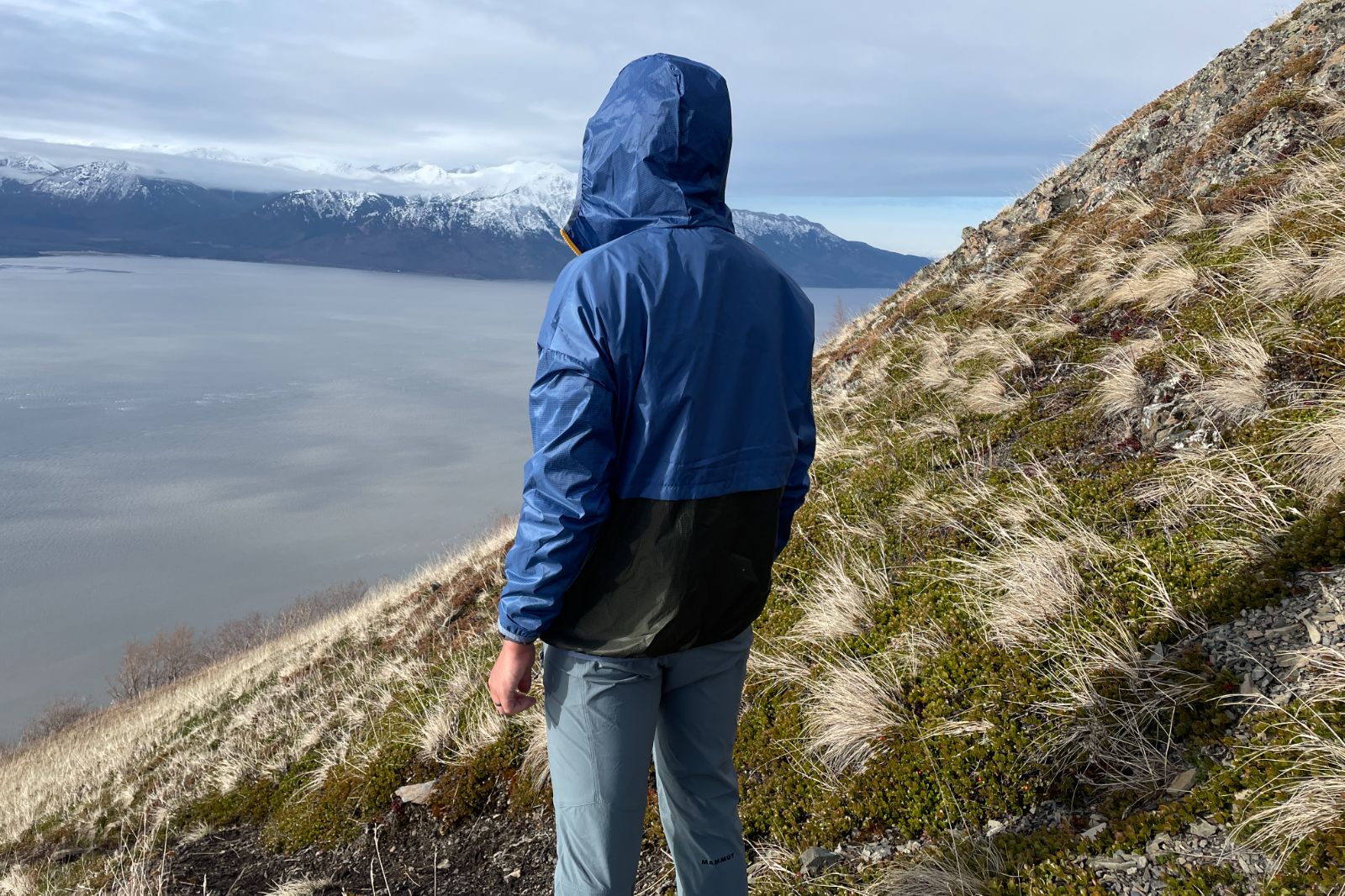 A man stands over an ocean view wearing a windbreaker.