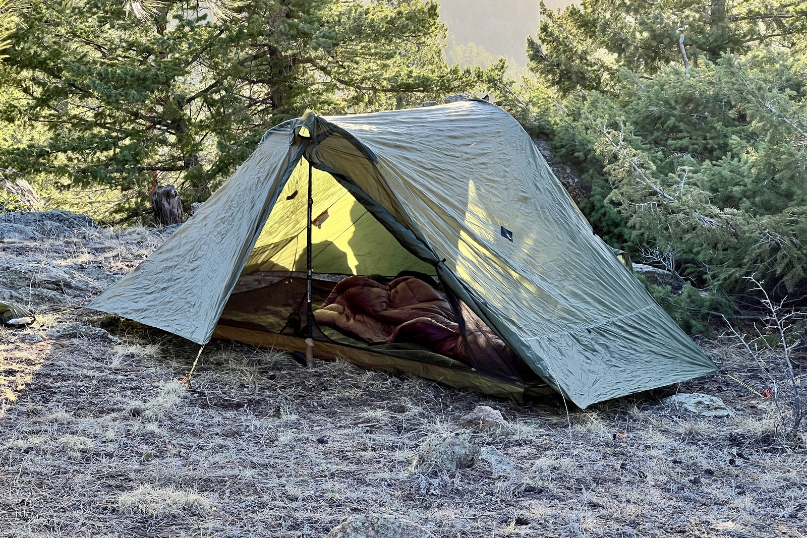 A green trekking pole tent setup in a pine forest with the doors open to a view of the inside
