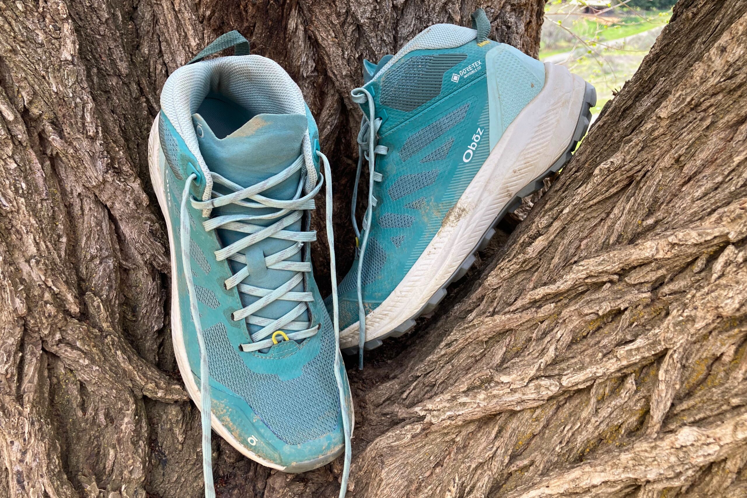 A pair of the Oboz Katabatic LT Mid Gore-Tex Hiking Boots in a tree