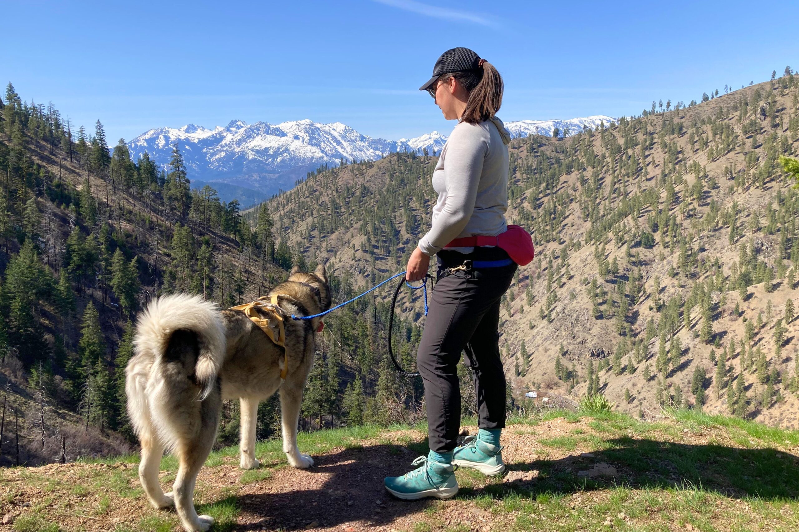 Hiker standing at an overlook with her dog while wearing the Oboz Katabatic LT Mid Gore-Tex Hiking Boots