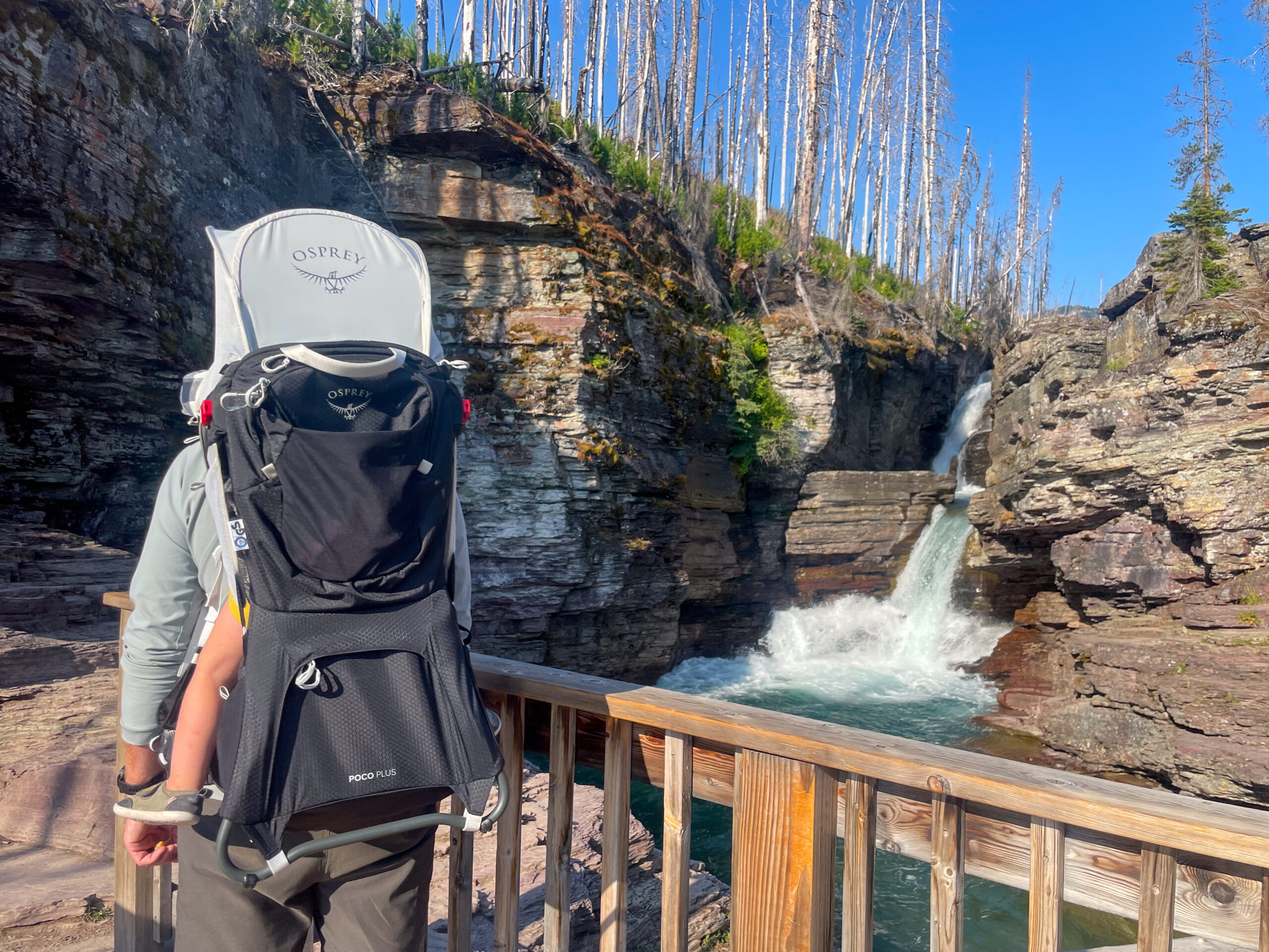 a man views a waterfall with a baby in a backpack