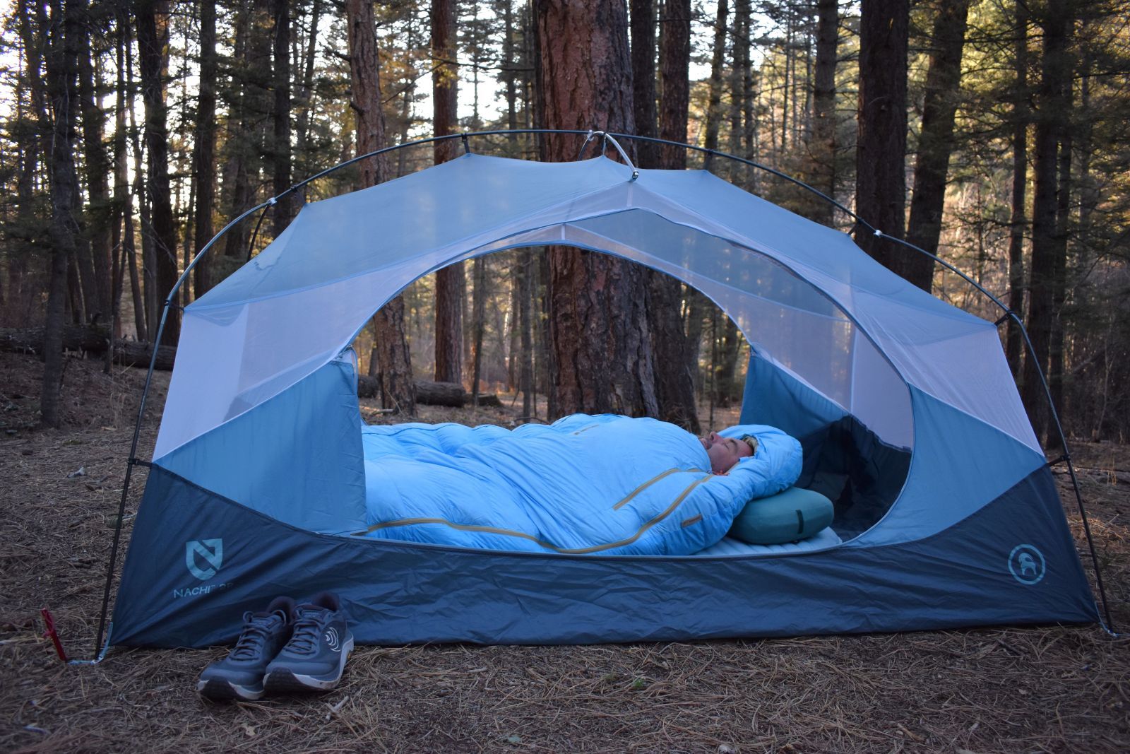 Male camper sleeping in an open tent with pine trees in the background