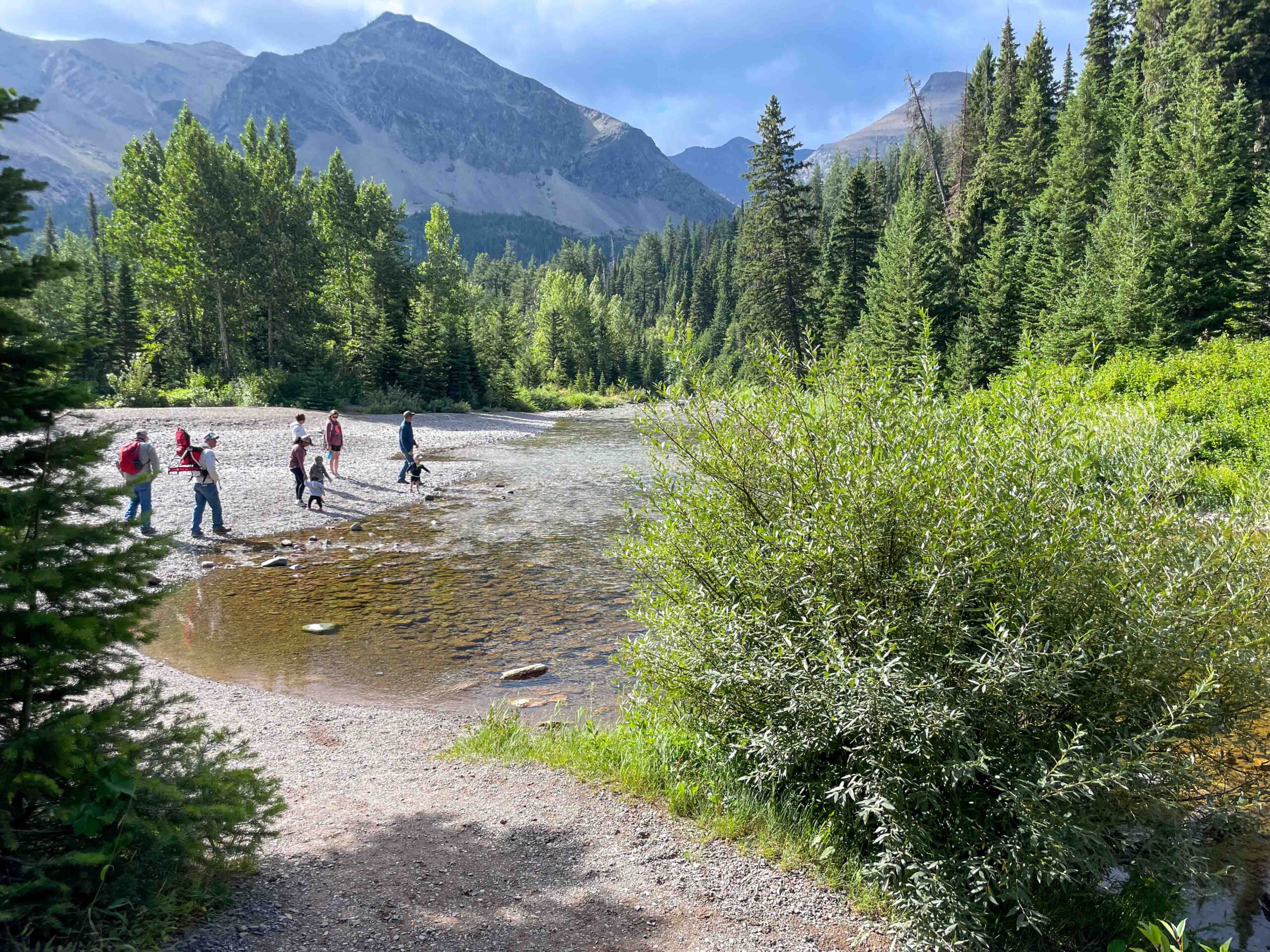 kids and adults playing by a stream