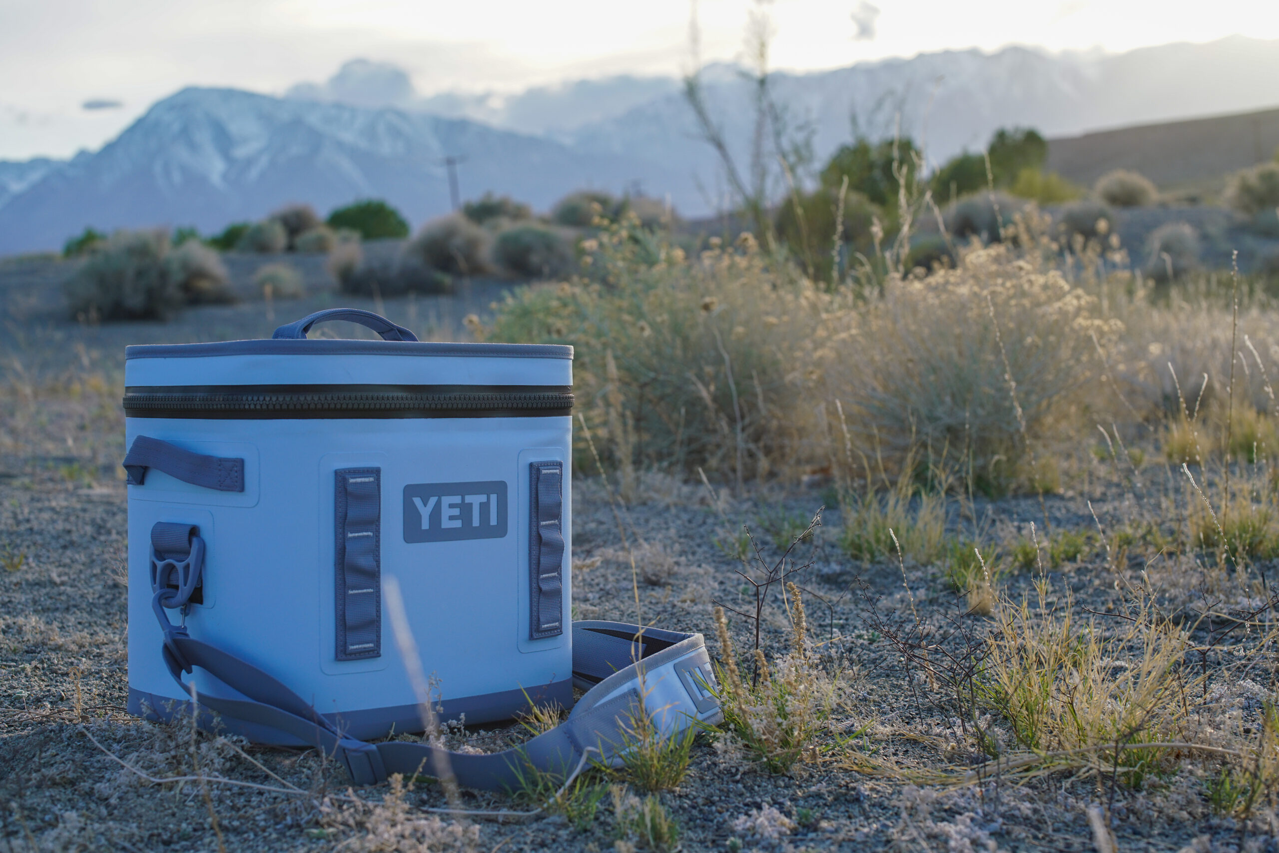 The YETI Hopper Flip 12 sits on the ground with bushes and a mountain in the background.