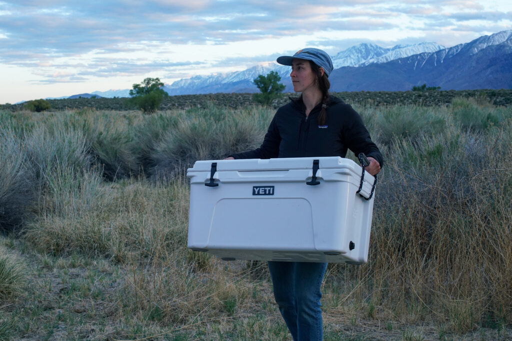 A person carries the YETI Tundra 65 cooler using its rope handles. There are mountains in the background.