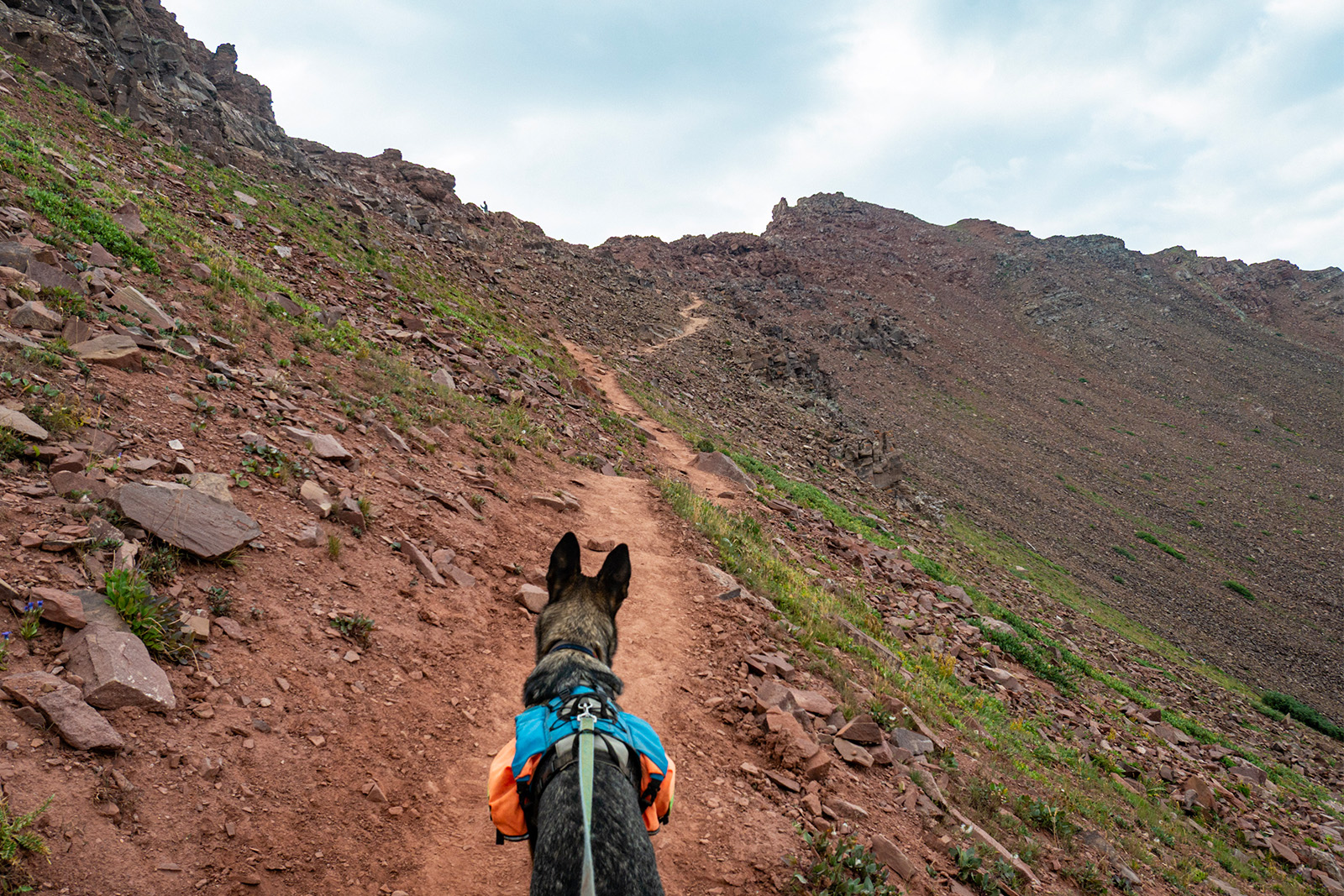 A German Shepherd Dog wearing a backpack is standing on a dirt trail. A leash held by the photographer is attached to the dog's pack. The trail leads to the top of a ragged looking ridge and the landscape is generally rocky.