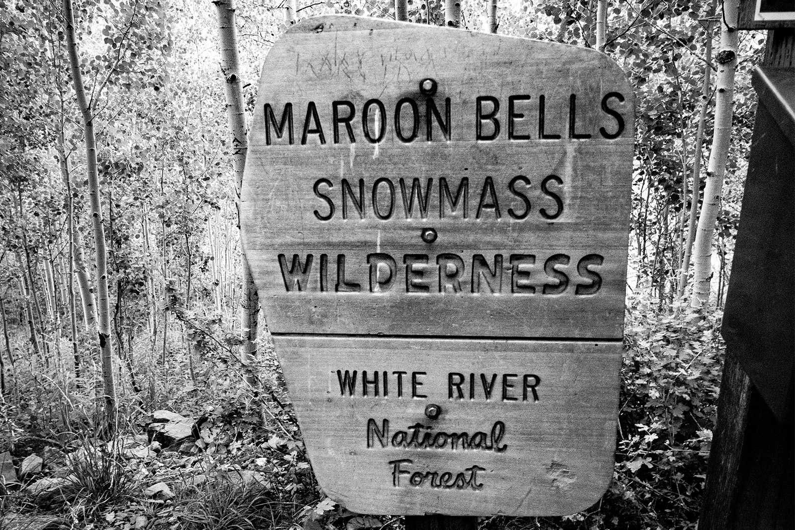 A black and white photo of a wilderness sign in a forest of aspens. The sign reads: "Maroon Bells Snowmass Wilderness. White River National Forest".