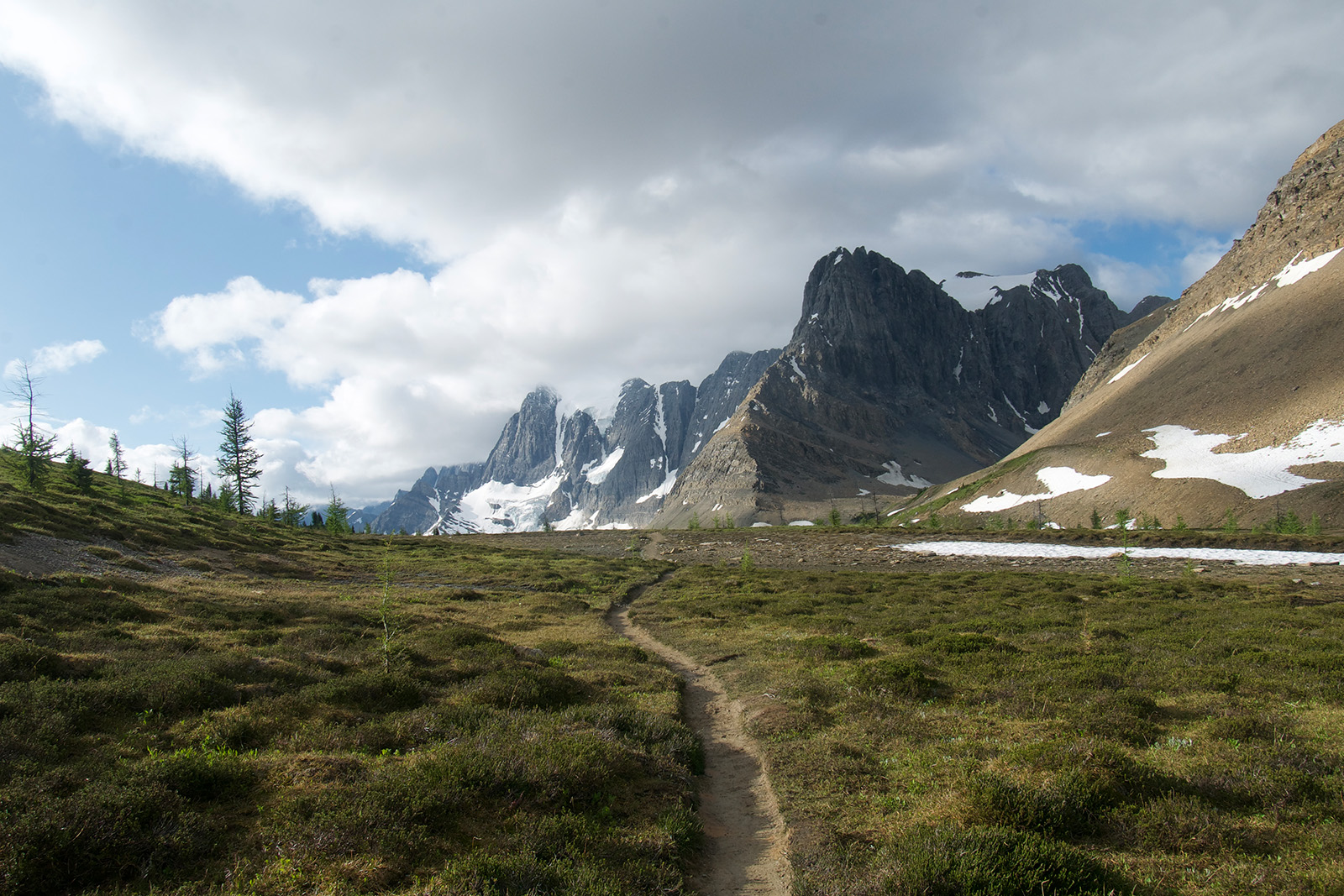 A trail runs straight away from the viewer through an open, grassy area. There are craggy, glacier covered mountains in the distance.