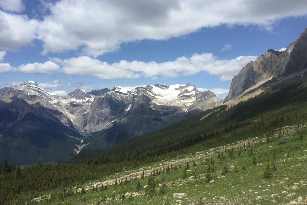 An open area allows for a view of a glacier covered mountain in the distance.
