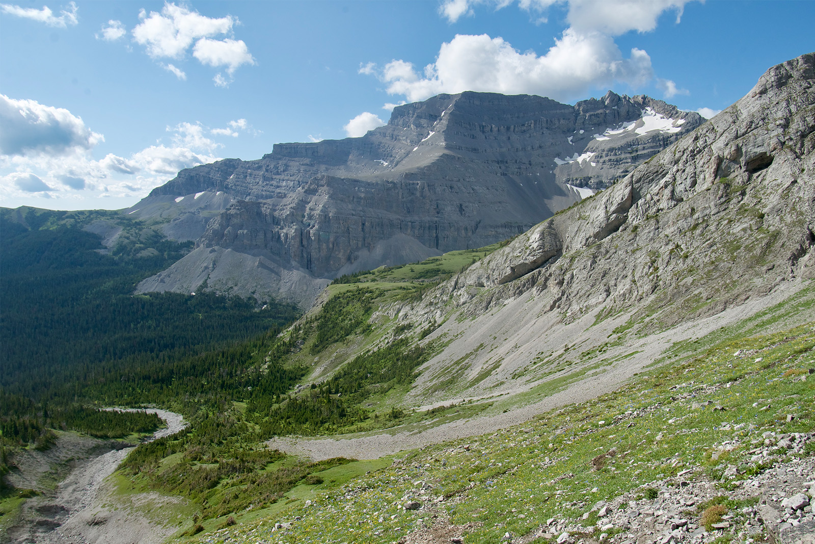 A scenic view of a prominent mountain with pine trees down in the valley.