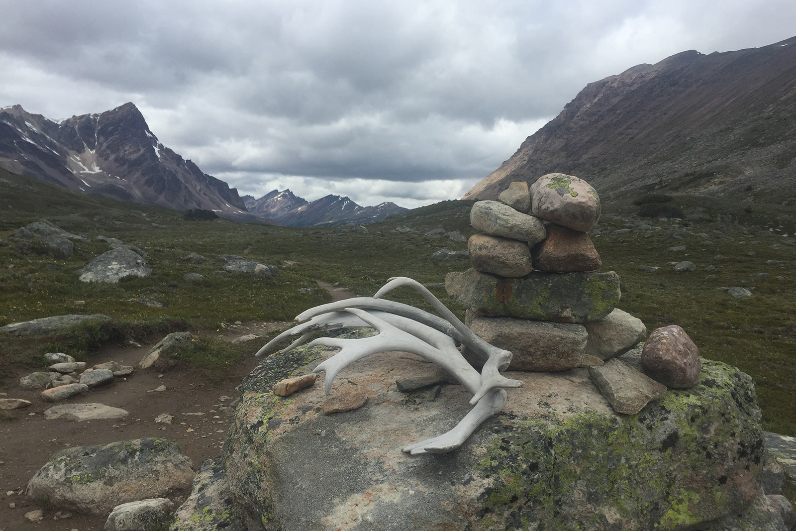 Caribou antlers sit on a rock at a low mountain pass.