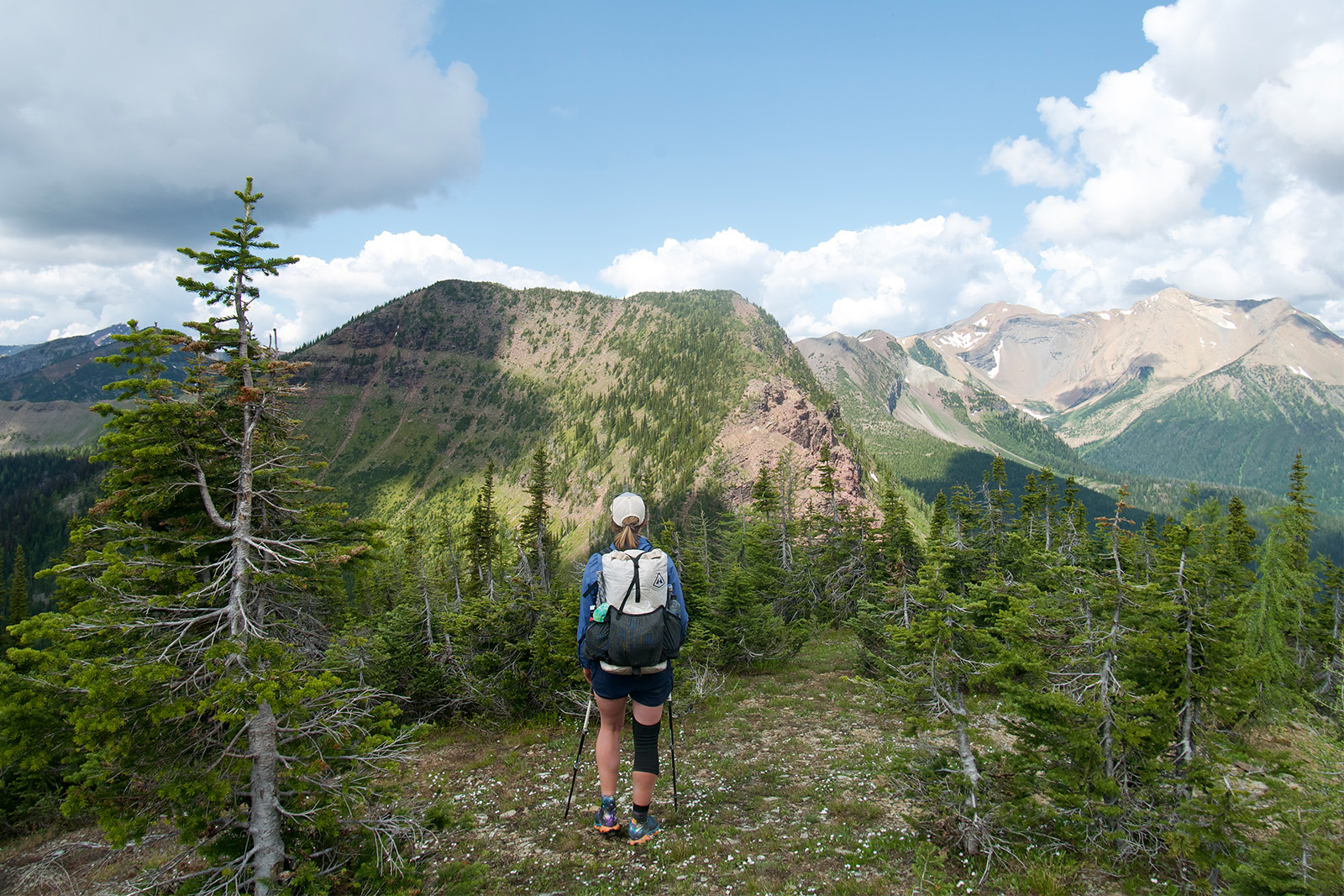 A person wearing a backpack is hiking through some trees. In the distance a peak rises up sharply along the same ridgeline.