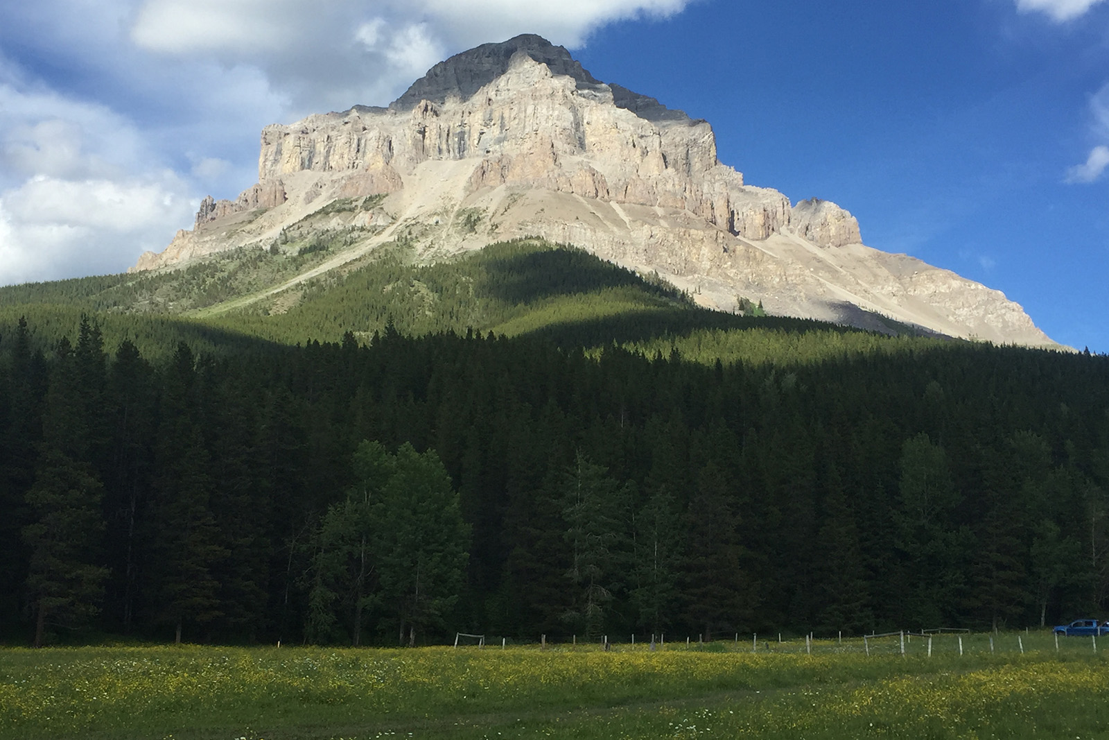 A butte rises prominently from the pine trees.