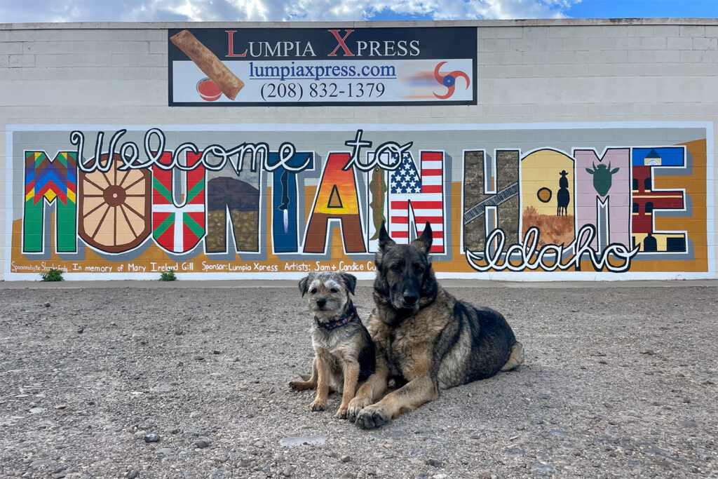 A German Shepherd Dog and Border Terrier sit next to each other in front of a mural painted on the side of a building. The mural reads "Welcome to Mountain Home Idaho" and there is a sign above it that reads "Lumpia Xpress, lumpiaxpress.com, 208-832-1379"