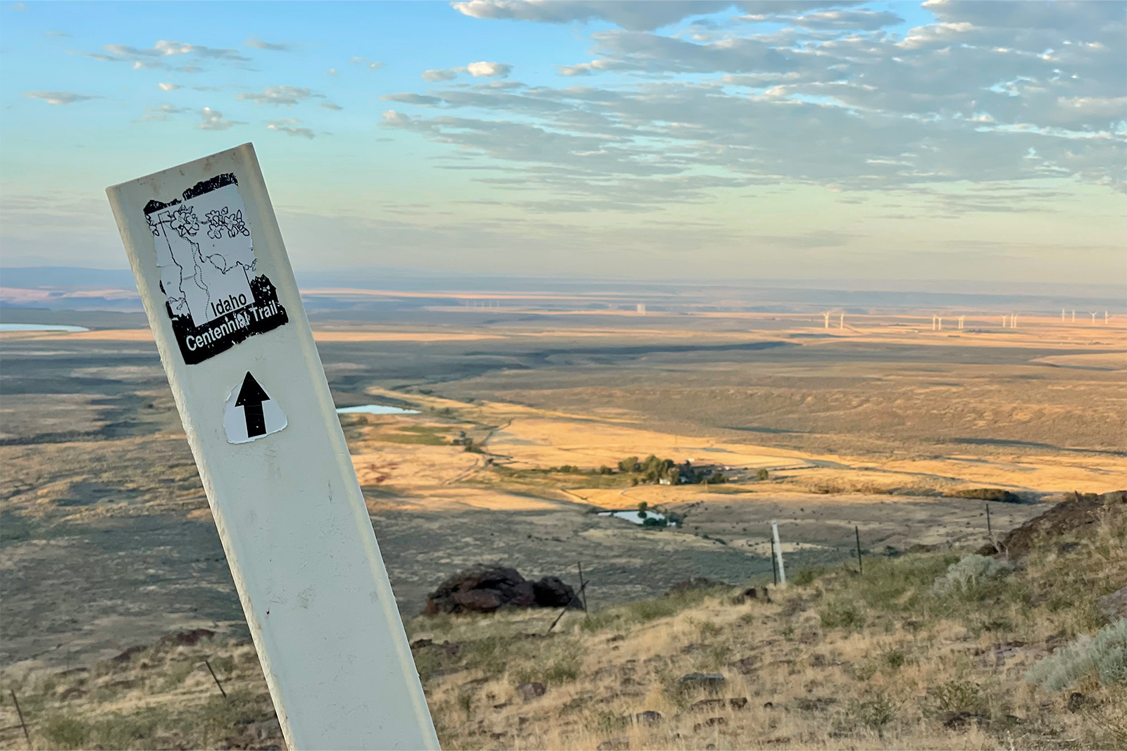 A white, plastic trail marker with an Idaho Centennial Trail sticker points the way down a hill. The hill drops away to a plain of golden grass with some wind turbines in the distance. It is early in the morning and everything is golden in color.
