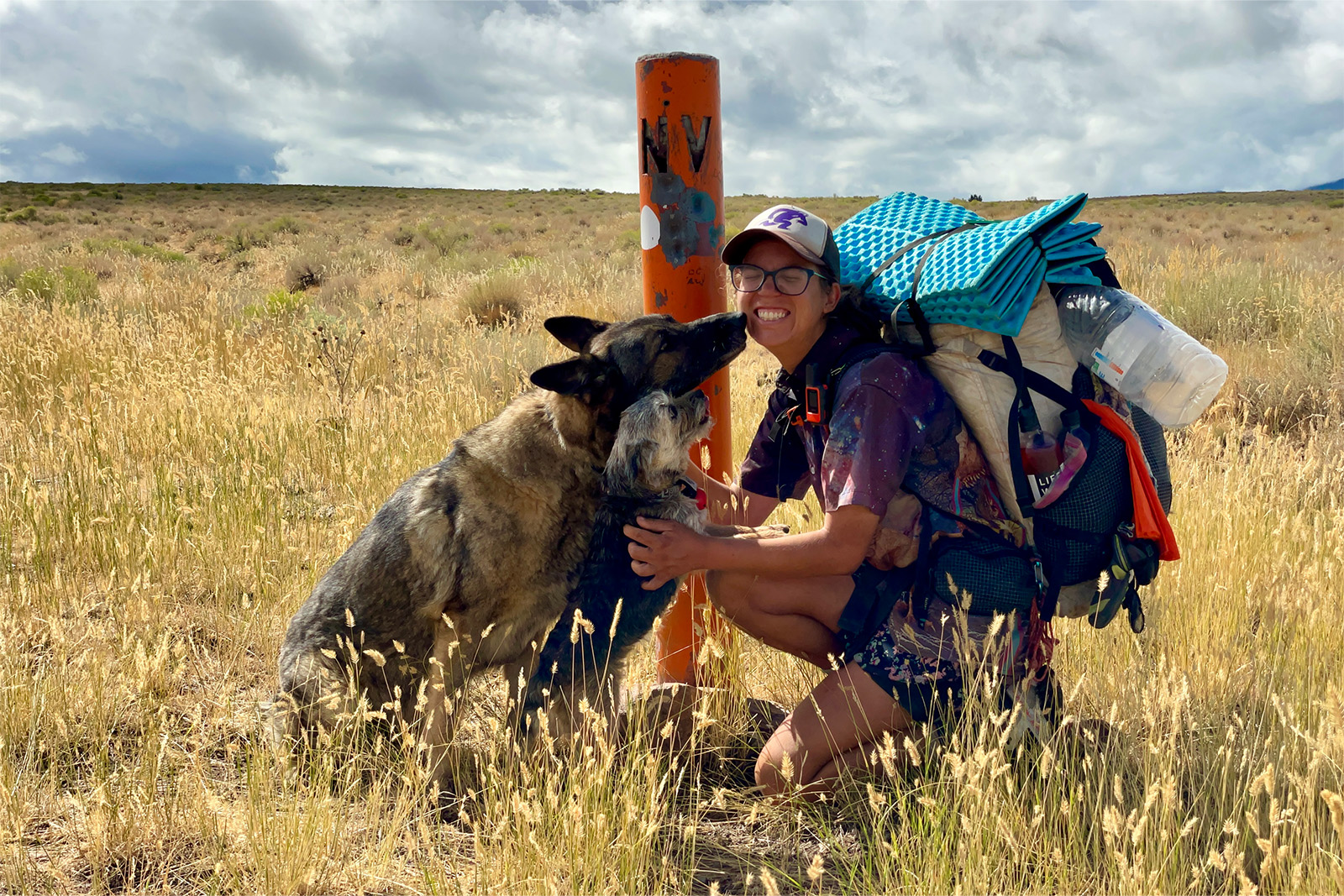 A person wearing a backpack is kneeling next to and petting a German Shepherd Dog and Border Terrier. The area is covered in yellow grass and there is an orange pole behind them with the letters "NV" engraved at the top.
