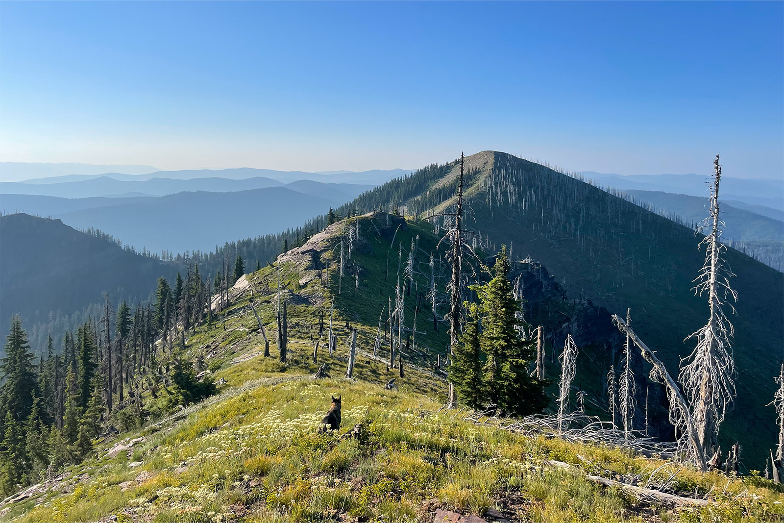 The viewer is standing on a ridge with a peak rising before them. There is no visible trail, but it is a clear morning.