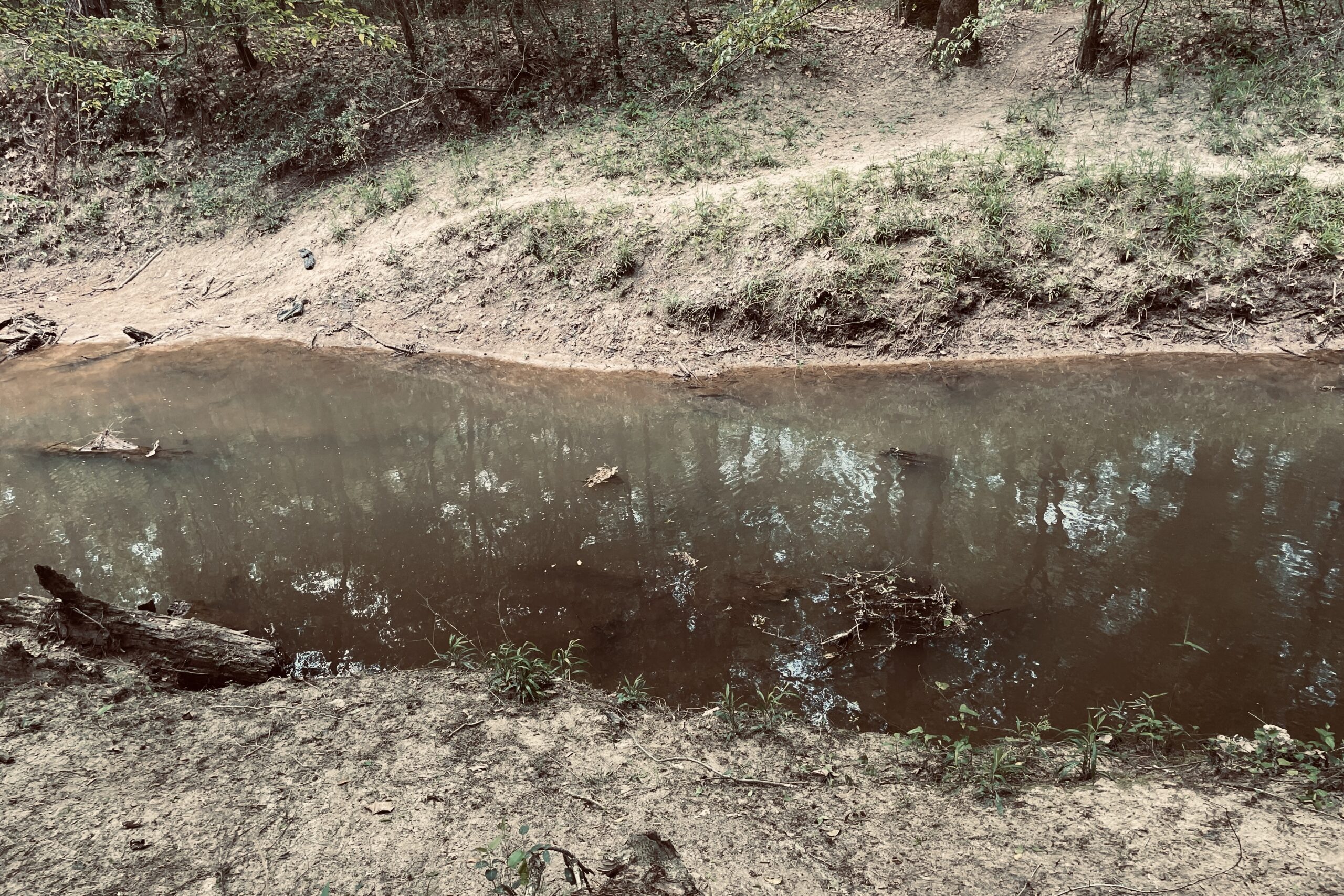 A brown, calm creek is shown with sandy banks on either side of it.