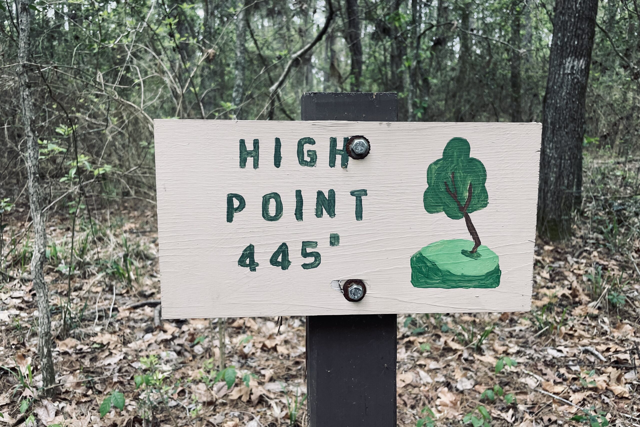 A sign with a small tree painted on it reads "high point 445'" and is attached to a post in the woods.