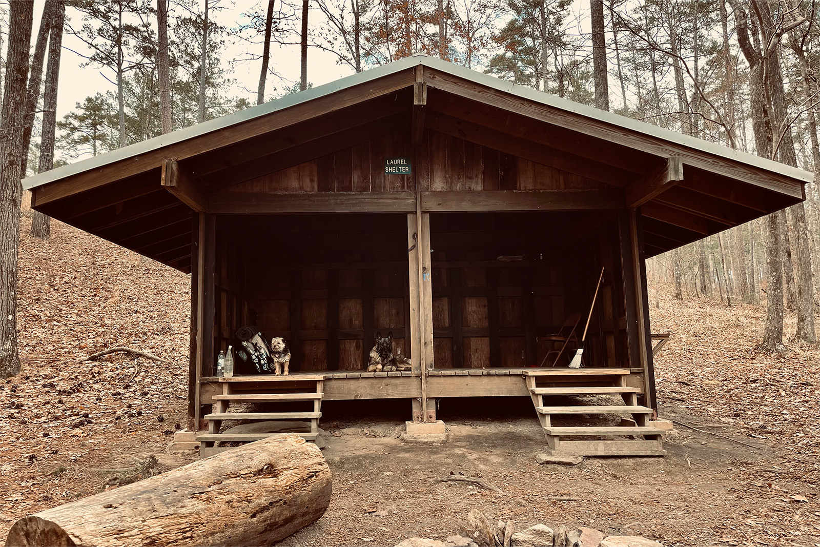 A wooden shelter is in the woods with a sign that says "laurel shelter" under the eaves. Two dogs are sitting inside the shelter next to a backpack.