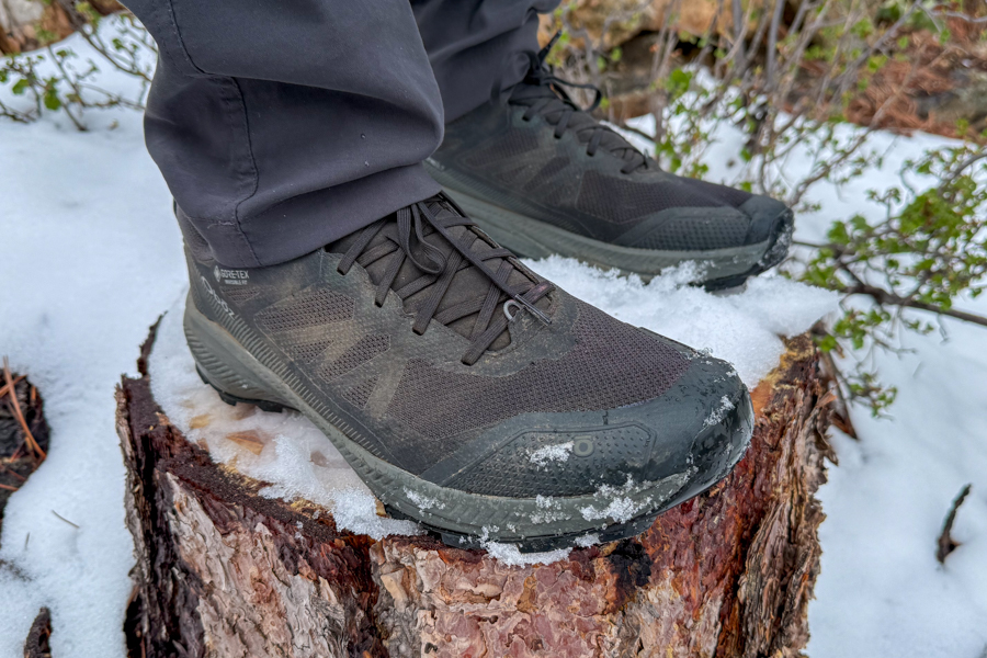 the images focuses on a pair of black shoes in the snow. There are signs of spring blooming in the background.