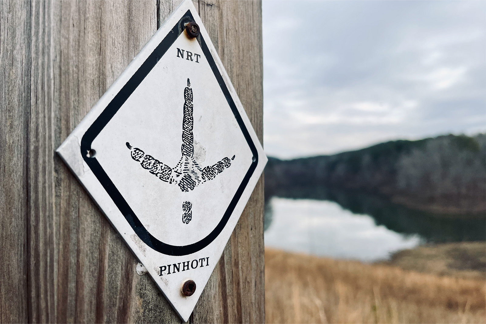 Close up of a turkey foot Pinhoti NRT blaze on a post. There is an open area and a lake in the background.