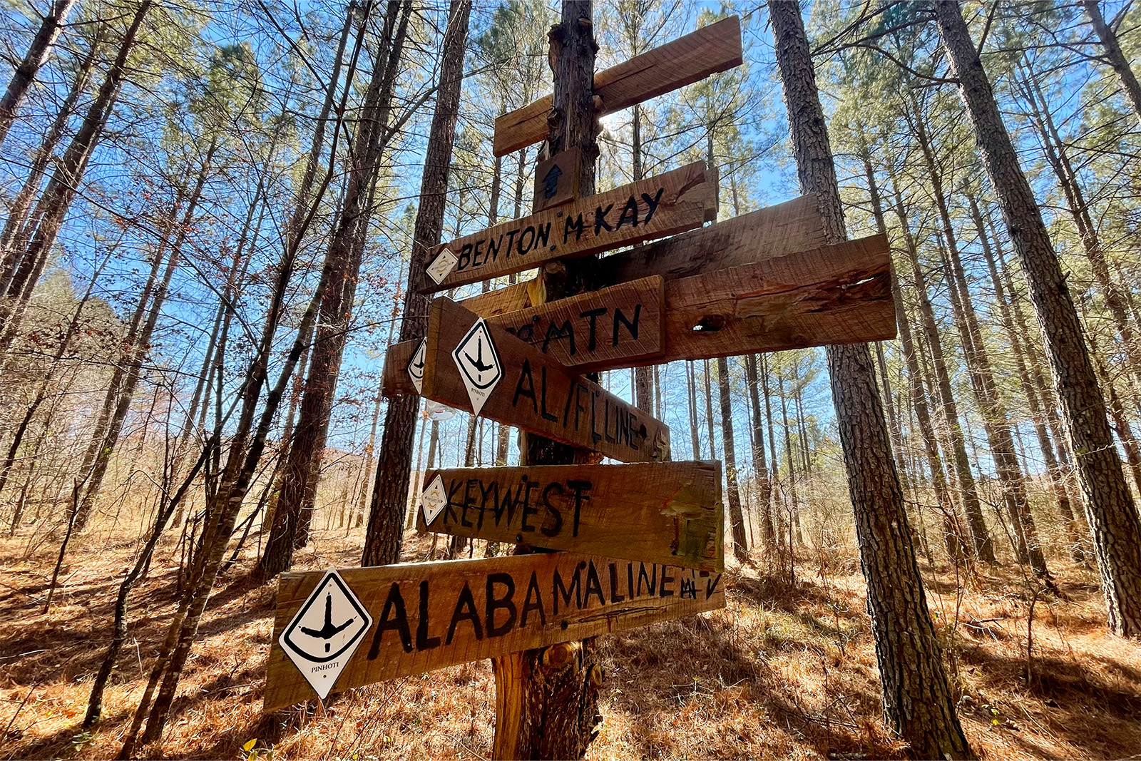 Multiple trail directional signs are nailed onto a post in the woods on a sunny day. The bottom signs have directions for Alabama line, Key West, AL/FL Line, and the Benton MKay Trail.