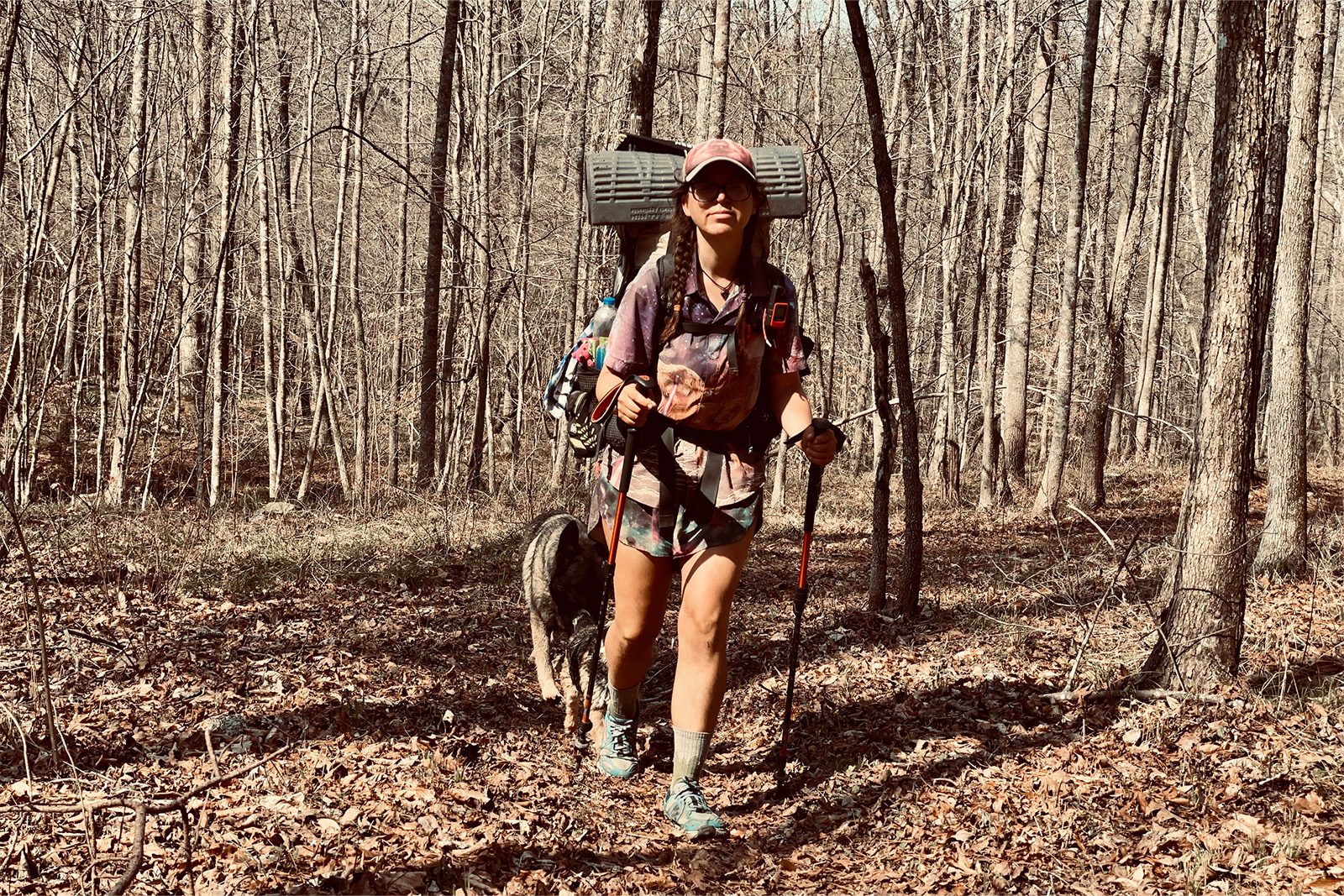 A person wearing a backpack is hiking through the trees with two dogs behind her.