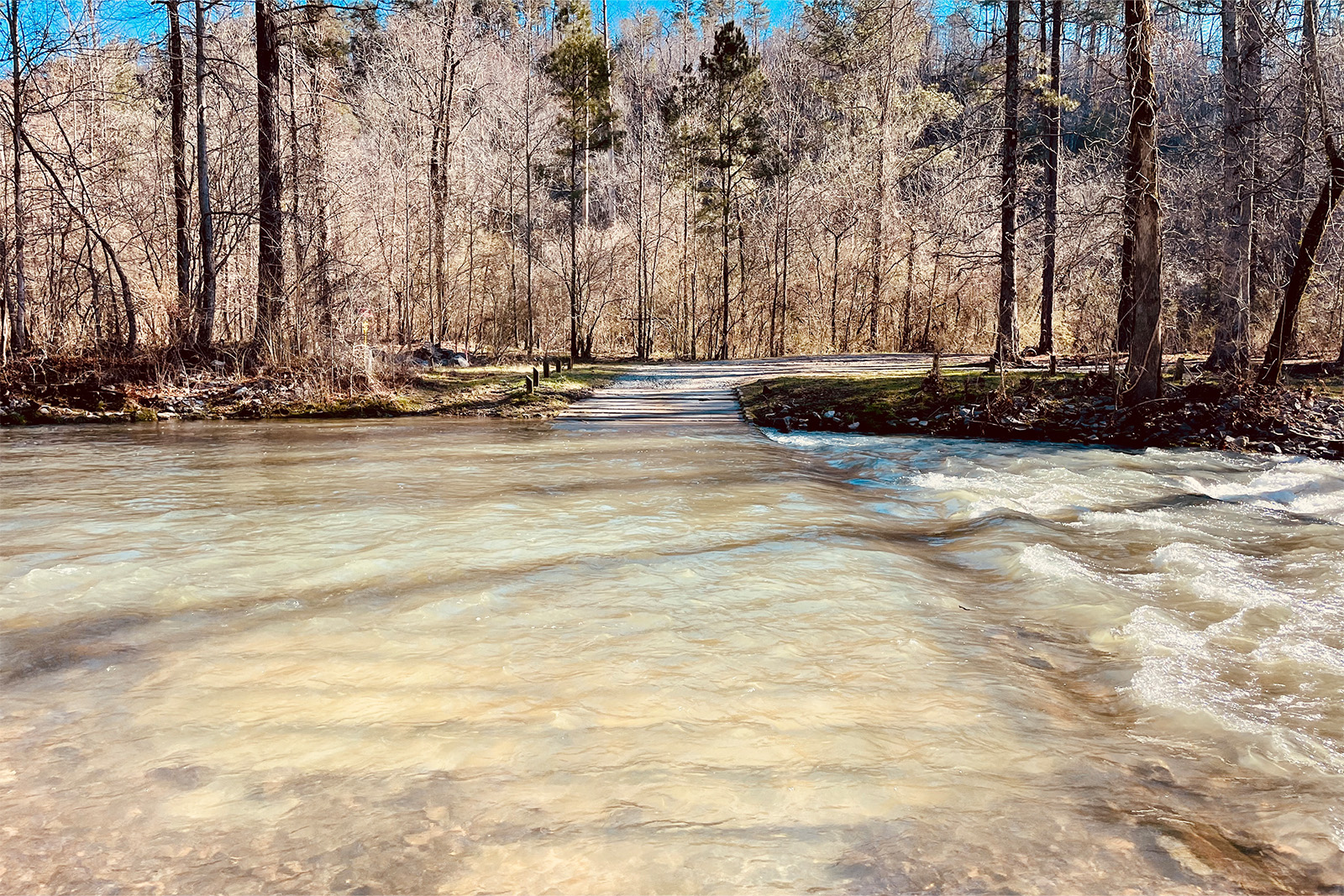 View looking across a wide, flat river with some rapids to the right. There is a road and some trees on the other side.