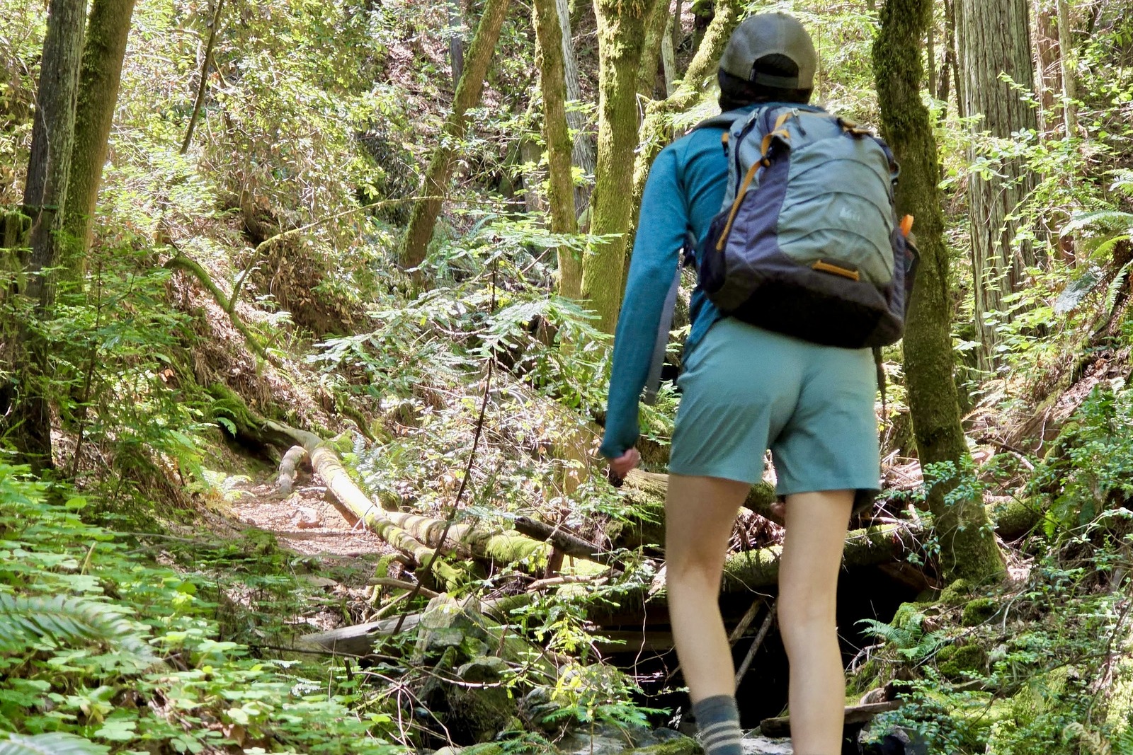 Women hikes up a trail wearing her REI Trailmade Shorts.