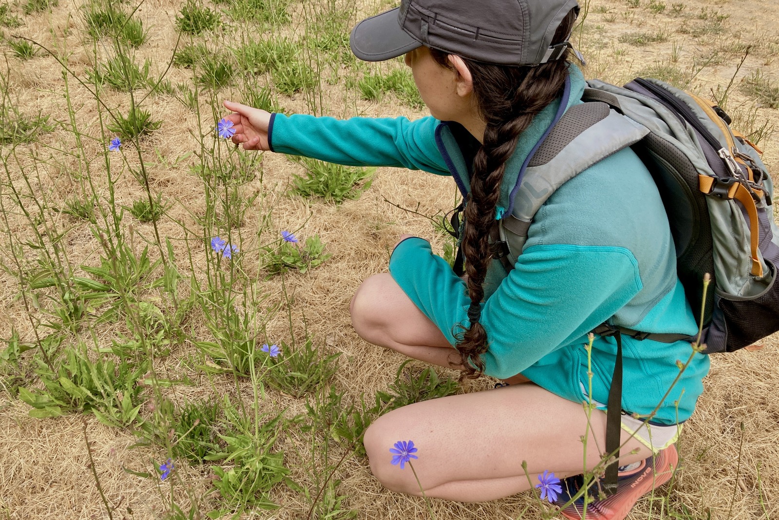 A woman squats down with backpack over her fleece jacket, as she appreciates the pretty purple flowers along the trail.