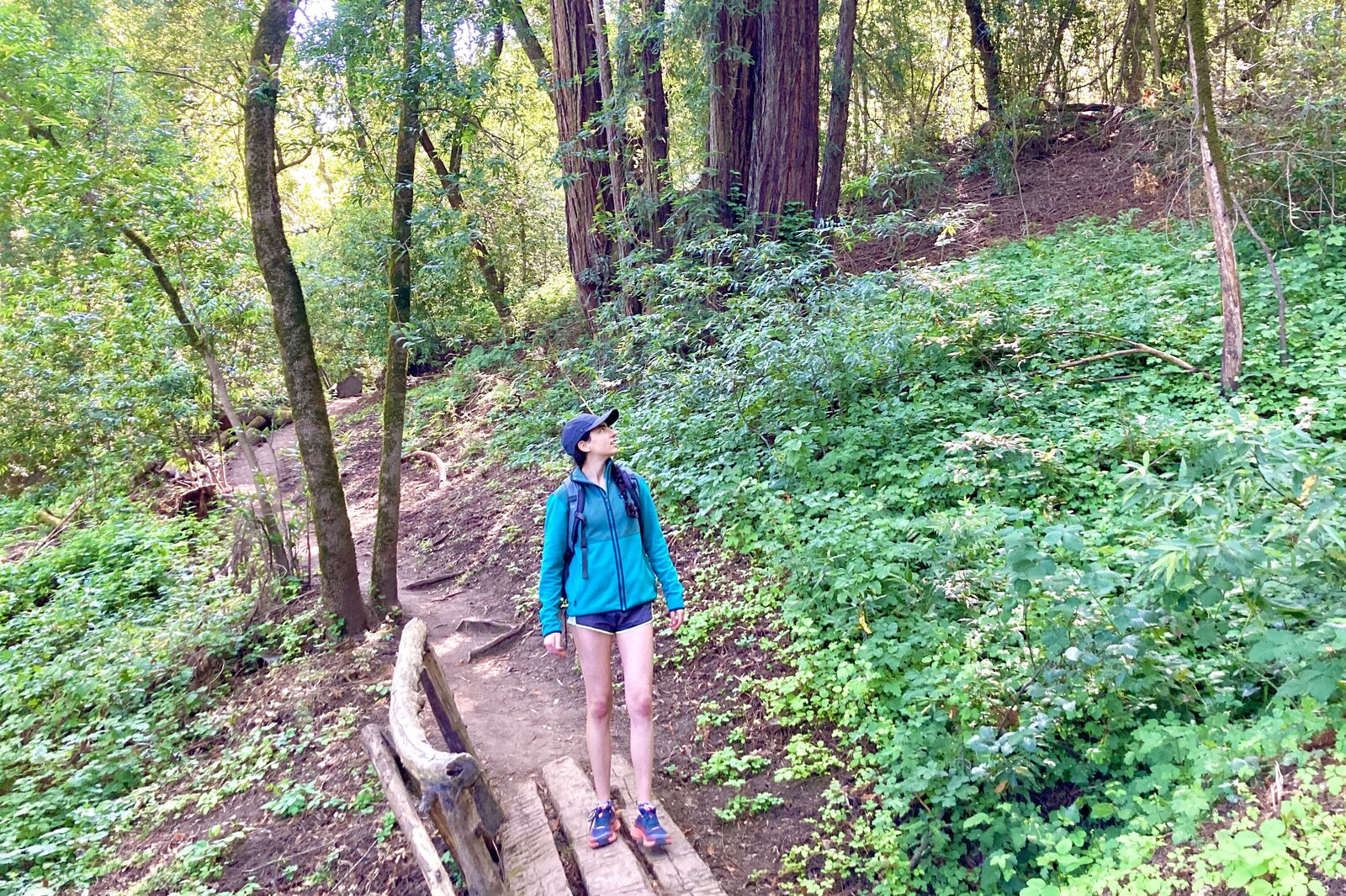 A woman stands on a trail looking up at the redwoods while hiking in her REI fleece.