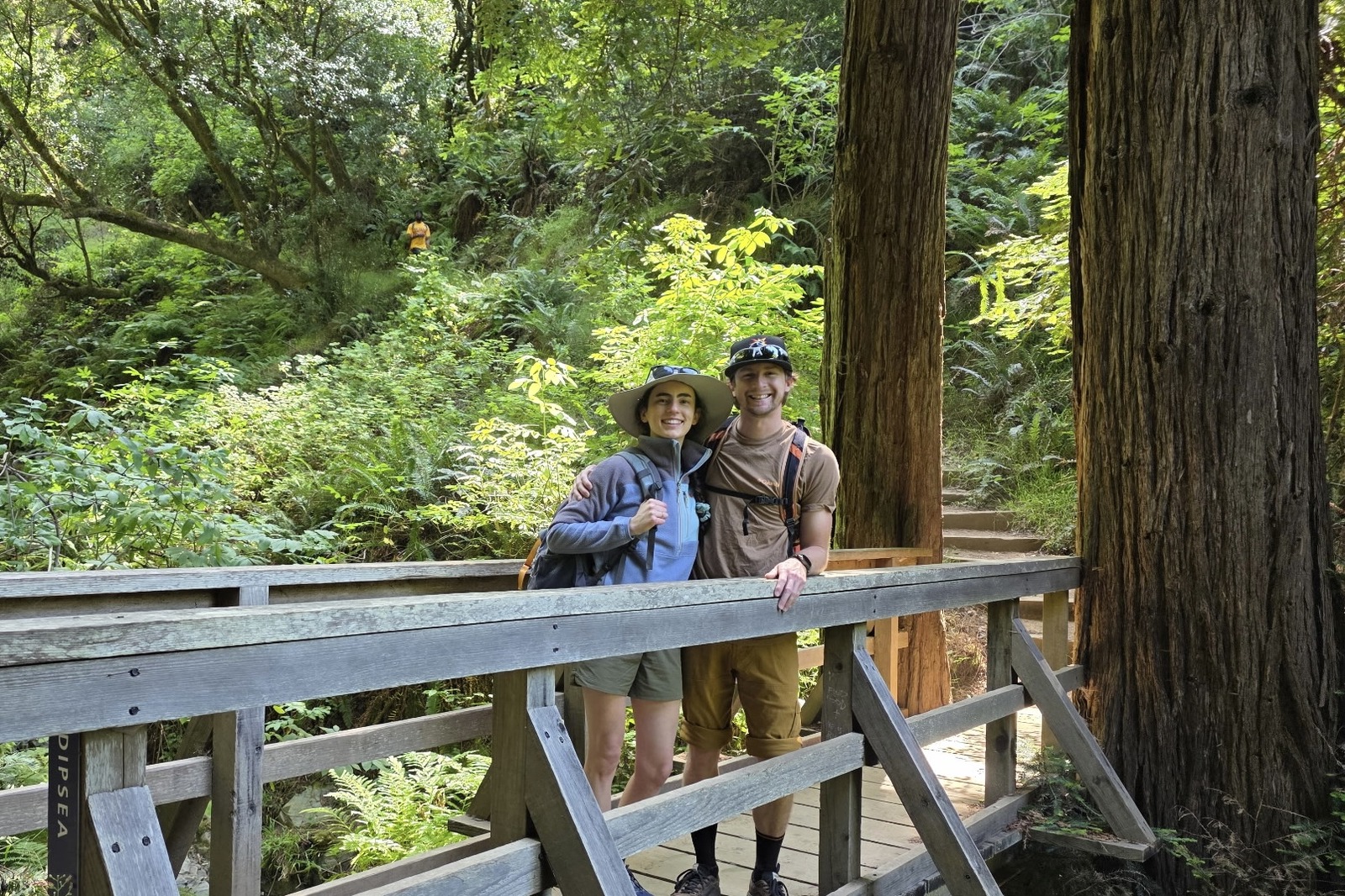 A couple stand on a bridge while enjoying their hike in the redwoods.