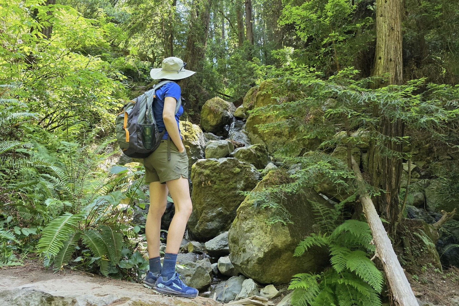 A woman stands on a rock looking at the forest ahead, carrying a daypack.