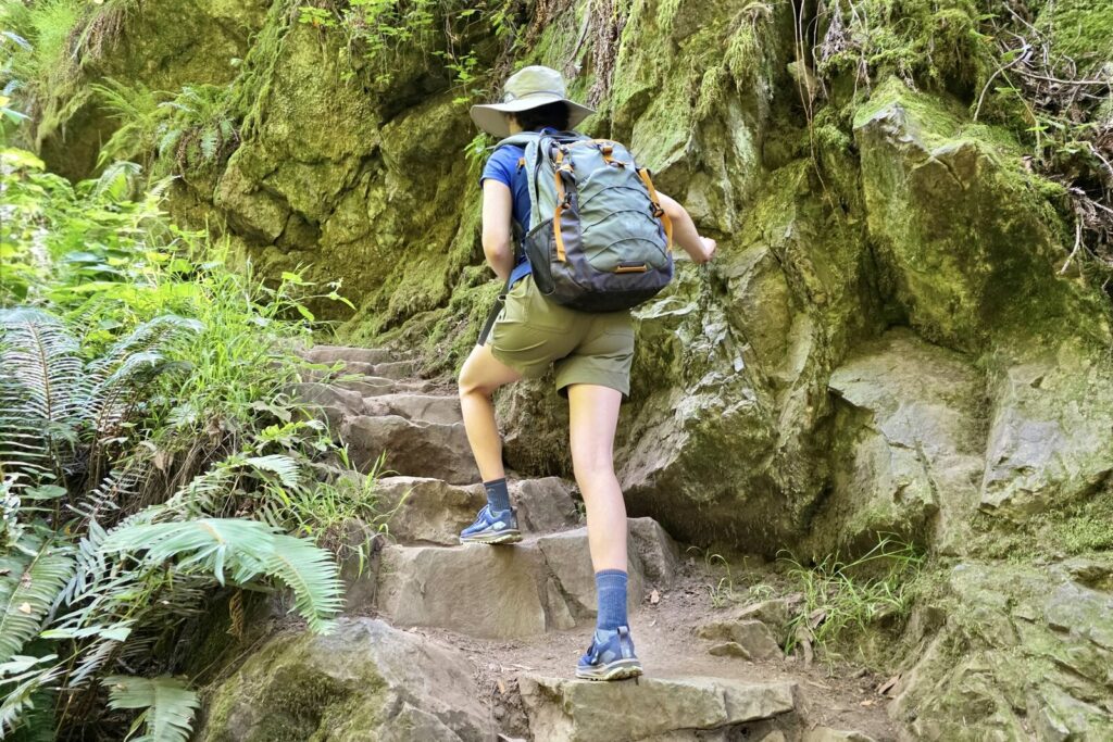 A woman hikes along a trail, with a forest on one side and a rock wall on the other.
