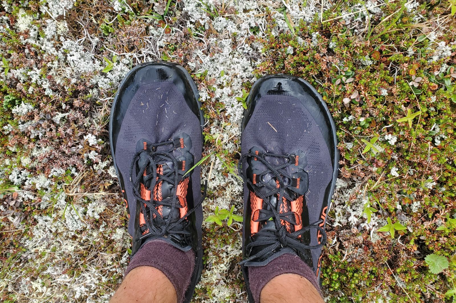 A closeup of the upper materials of running shoes in tundra.