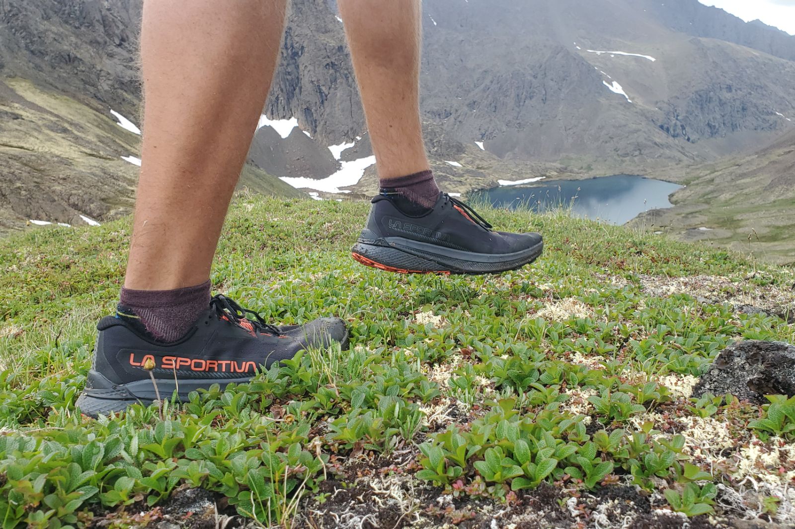 A pair of shoes hiking in the alpine of Alaska