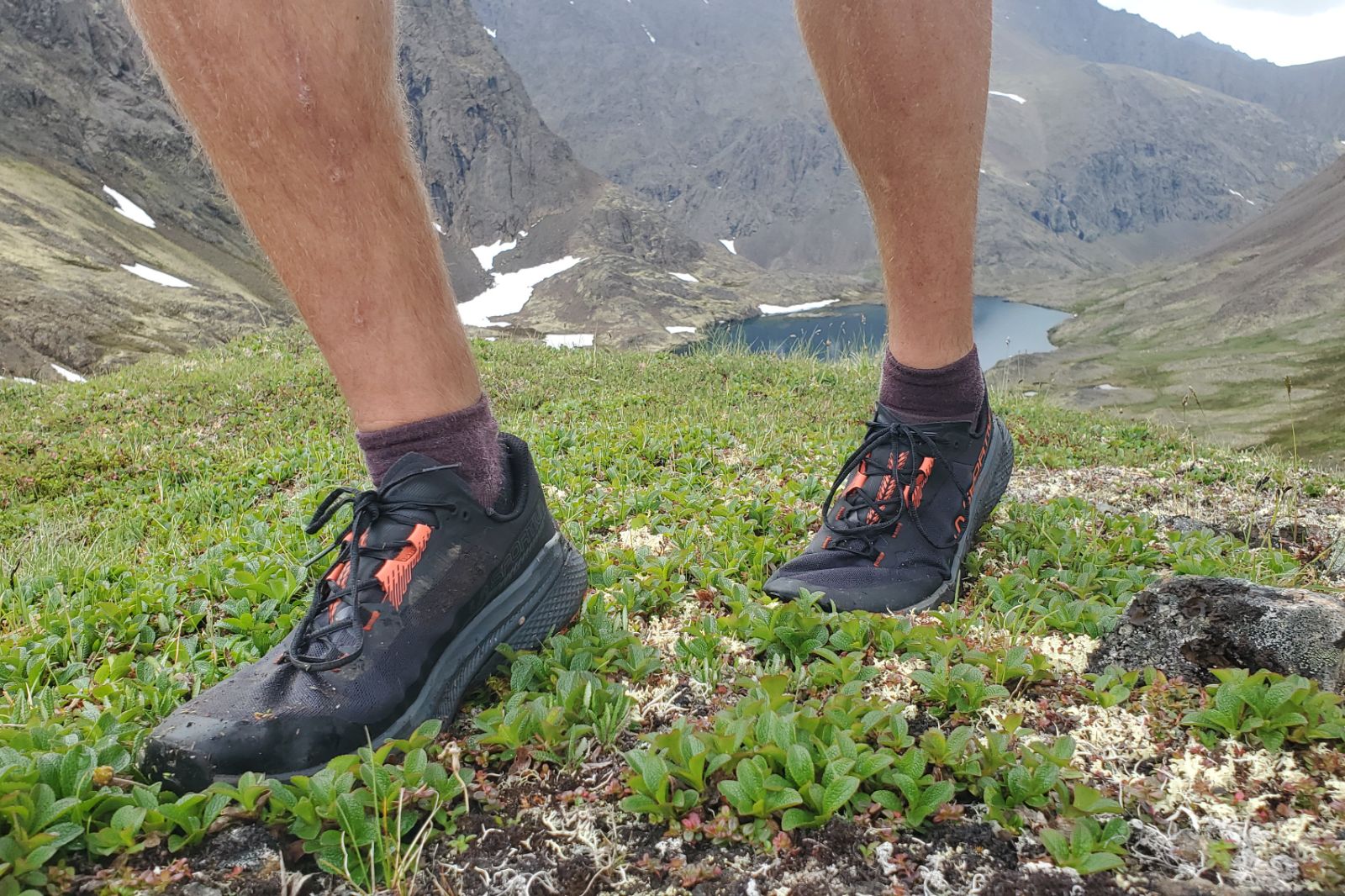 A pair of running shoes in alpine tundra.