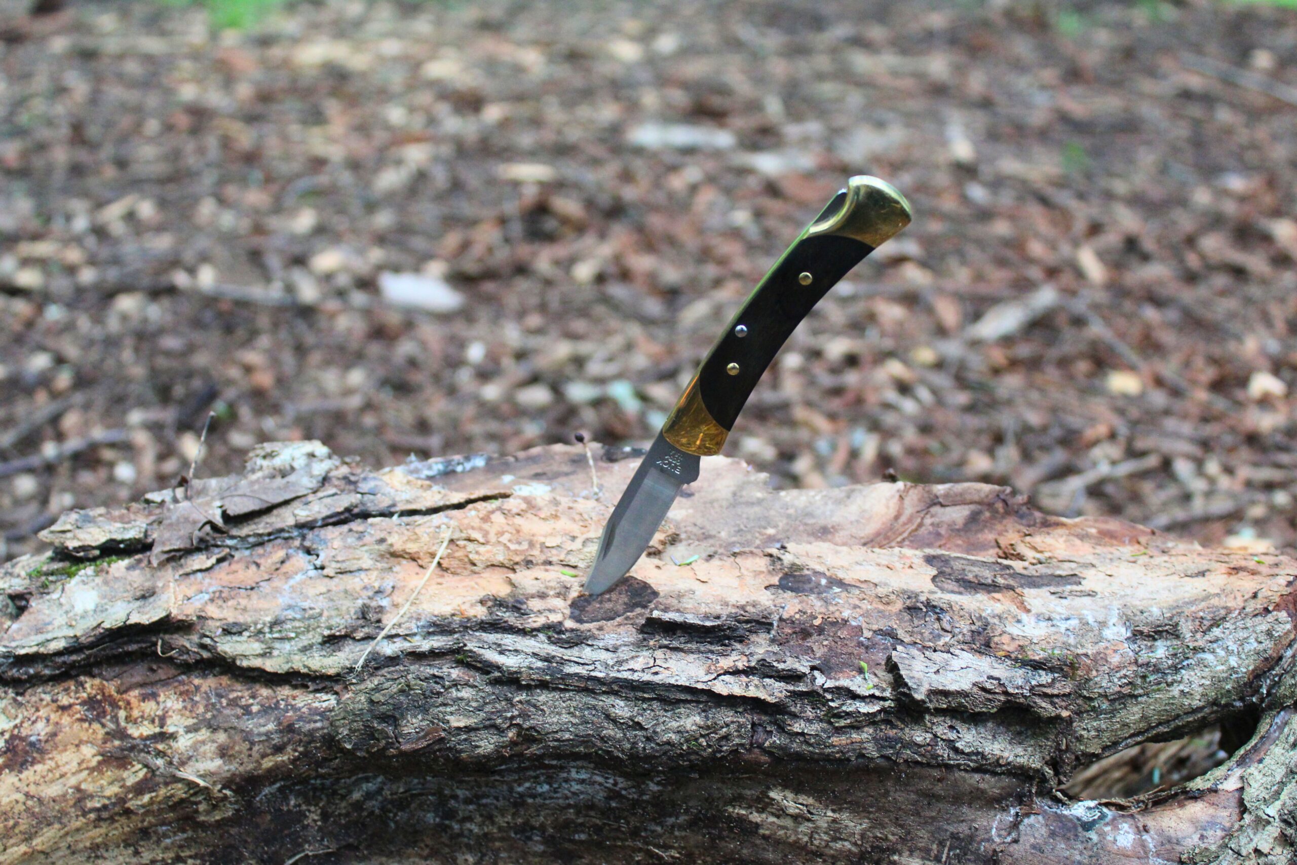 The Buck Knives 055 Pocket Knife stuck into a log