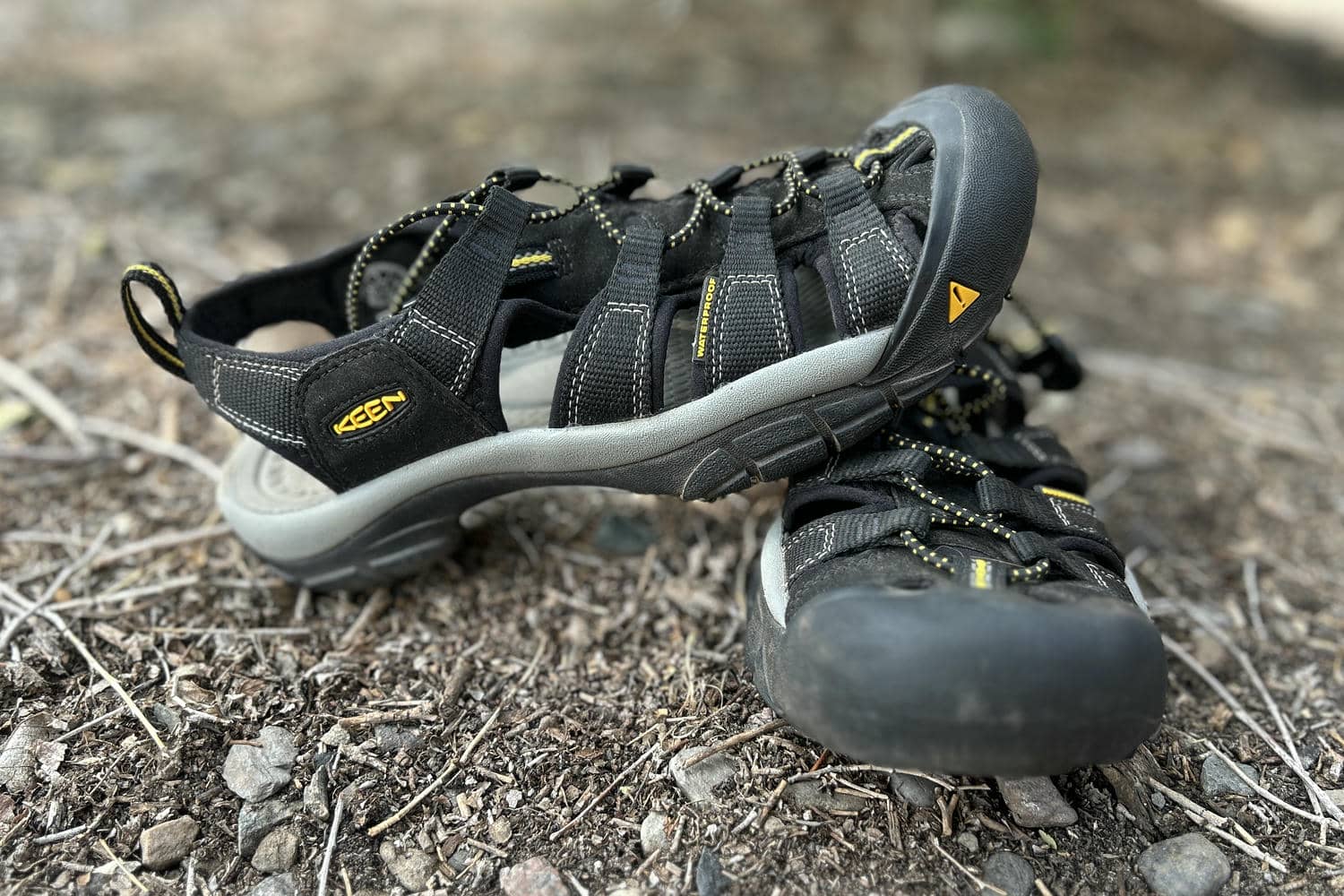 Close-up image of a pair of KEEN Newport H2 sandals.