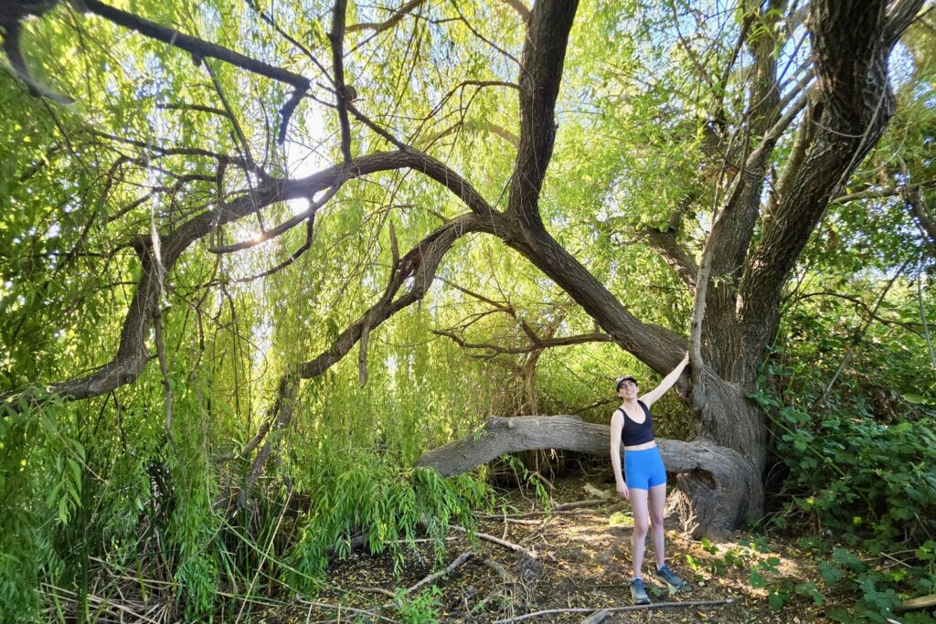 A woman braces against a tree while enjoying the shade.