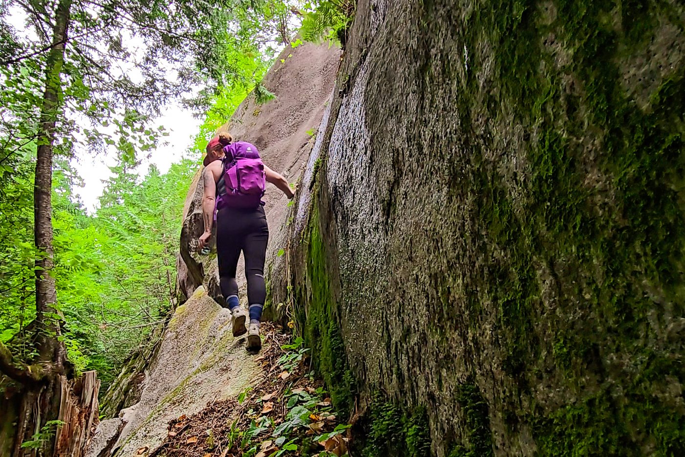 Person wearing a purple Deuter Speedlite Pro daypack walks along a steep rock face, one hand is braced against the rock wall.