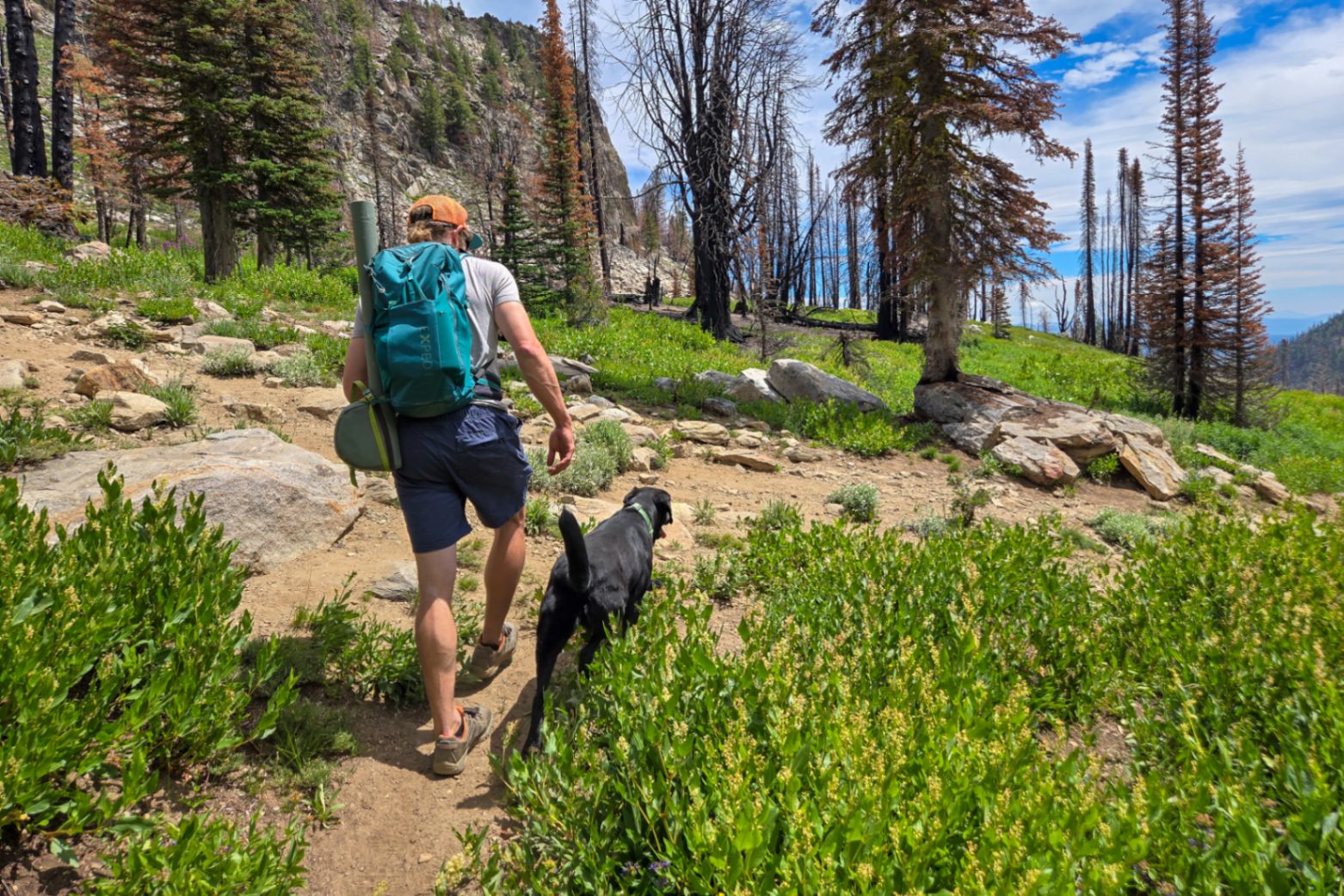 A person with a black dog hikes through a rocky landscape filled with pines. An EXPED brand pack is on their bag and a fly fishing rod is strapped to the side.