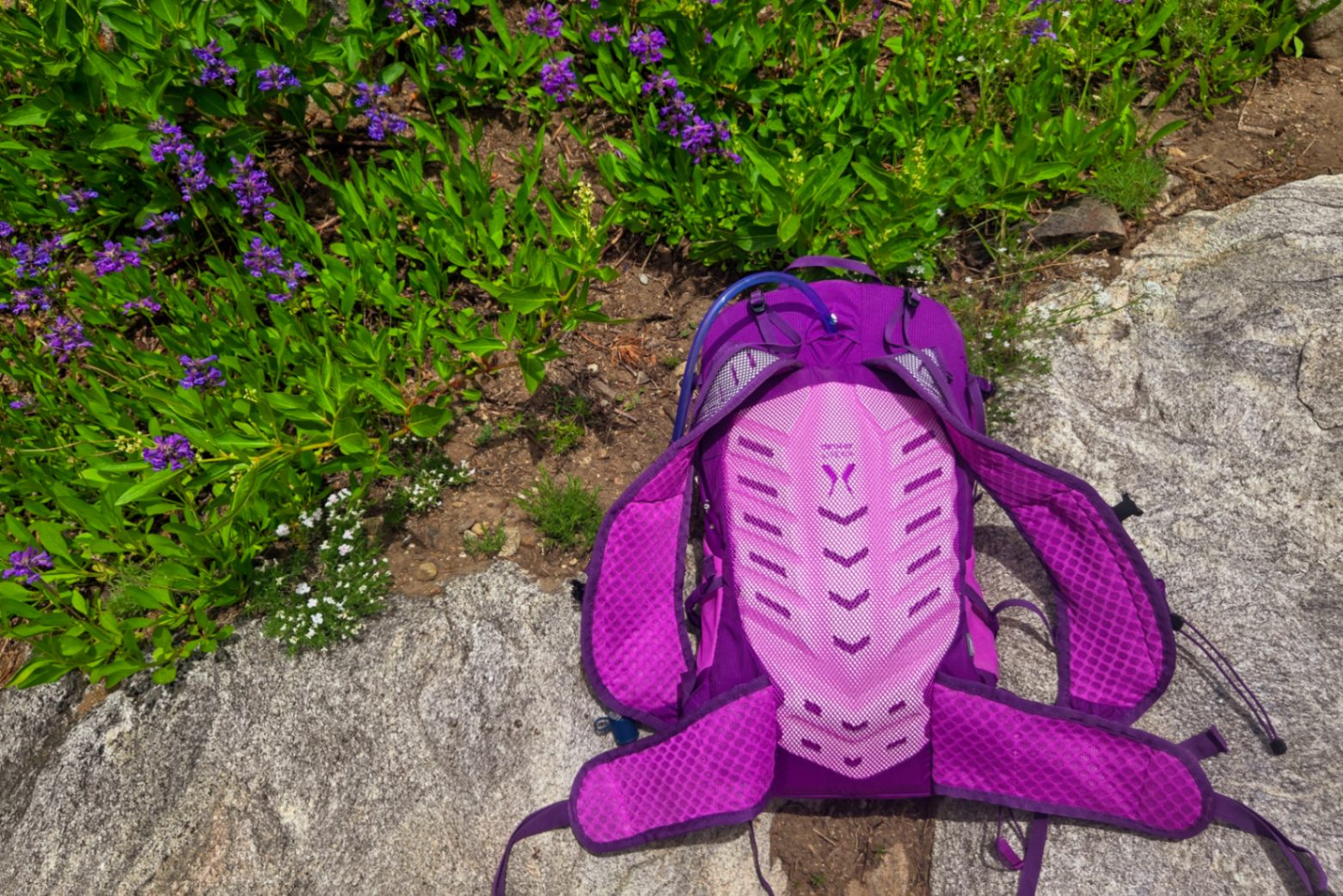The Deuter Speedlite Pro pack is displayed on a rock, showing the foam frame / back panel.
