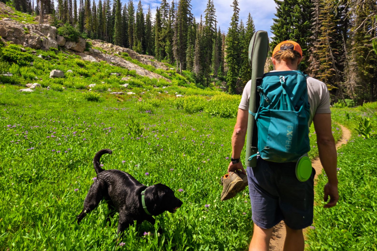 A person with a green EXPED day pack walks along a trail. The background is lush and green. A black dog follows along.