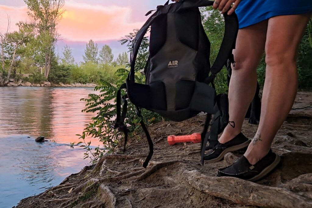 A person holds a black Decathlon Quechua daypack by the backstrap, giving a view of the padded back panel.