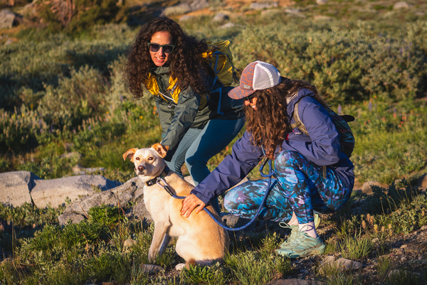 Woman wearing bright blue leggings in a camouflage like pattern on a hike with her friend and her dog. She is crouched down petting the dog. Her friend (in light blue leggings and a green jacket) is bent slightly at the waist also petting the dog.