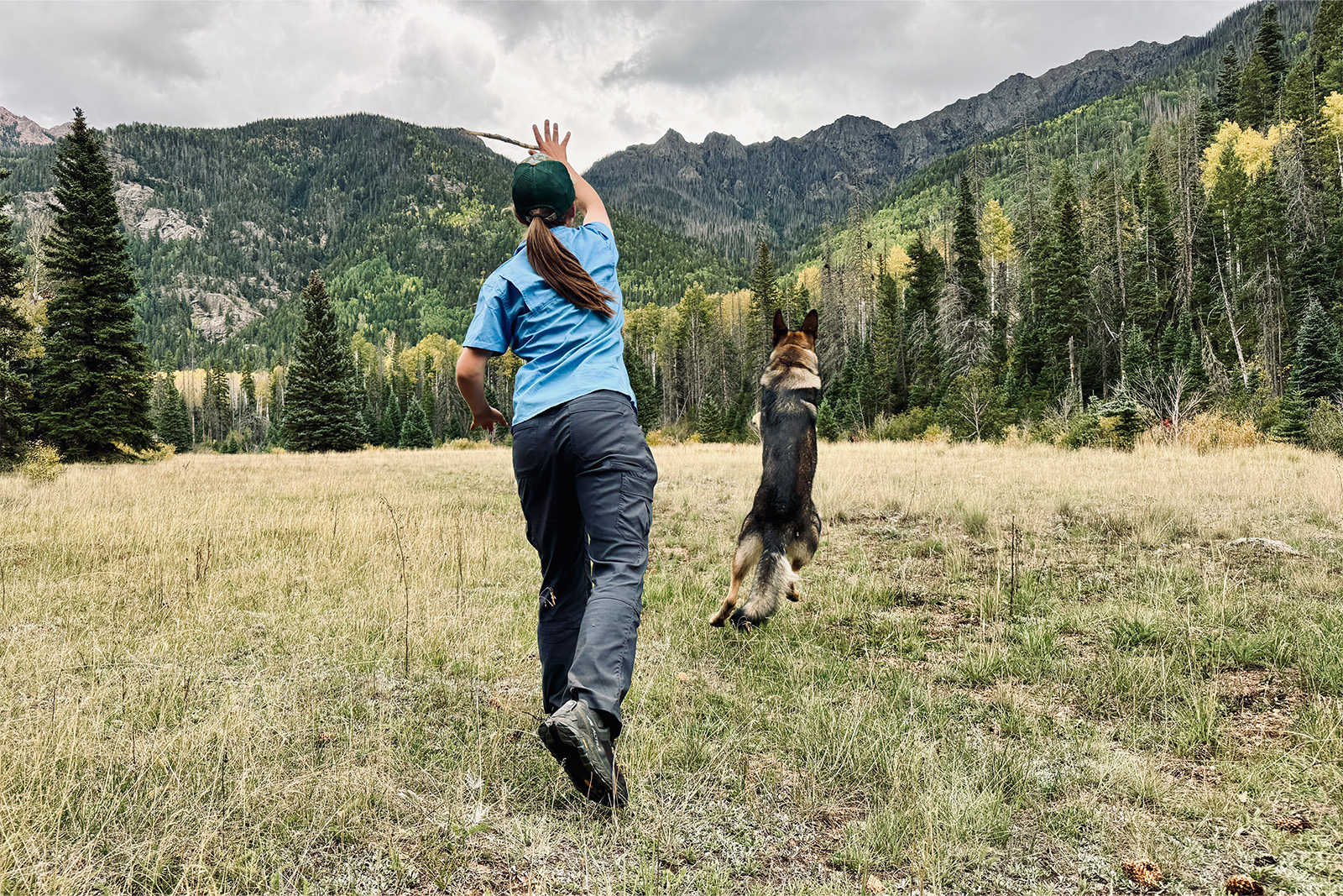 A person wearing the Duluth pants is throwing a stick for a German Shepherd Dog in a mountain meadow.