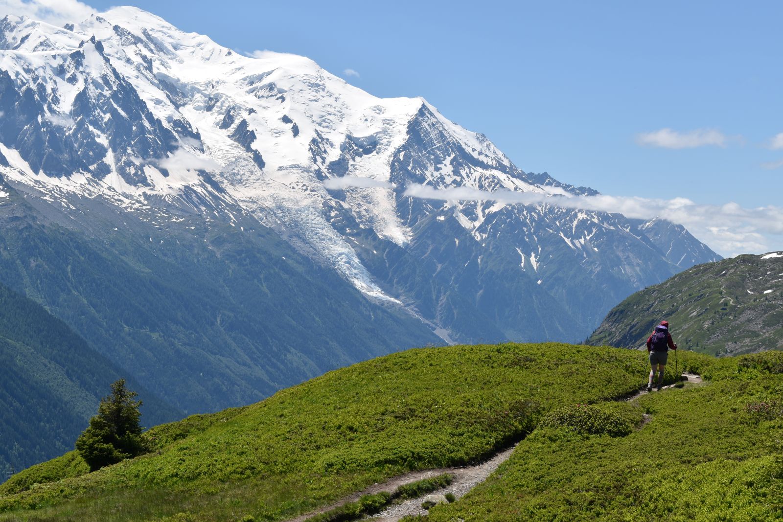 A hiker walks a green ridge on the right while Mt Blanc dominates the views to her left