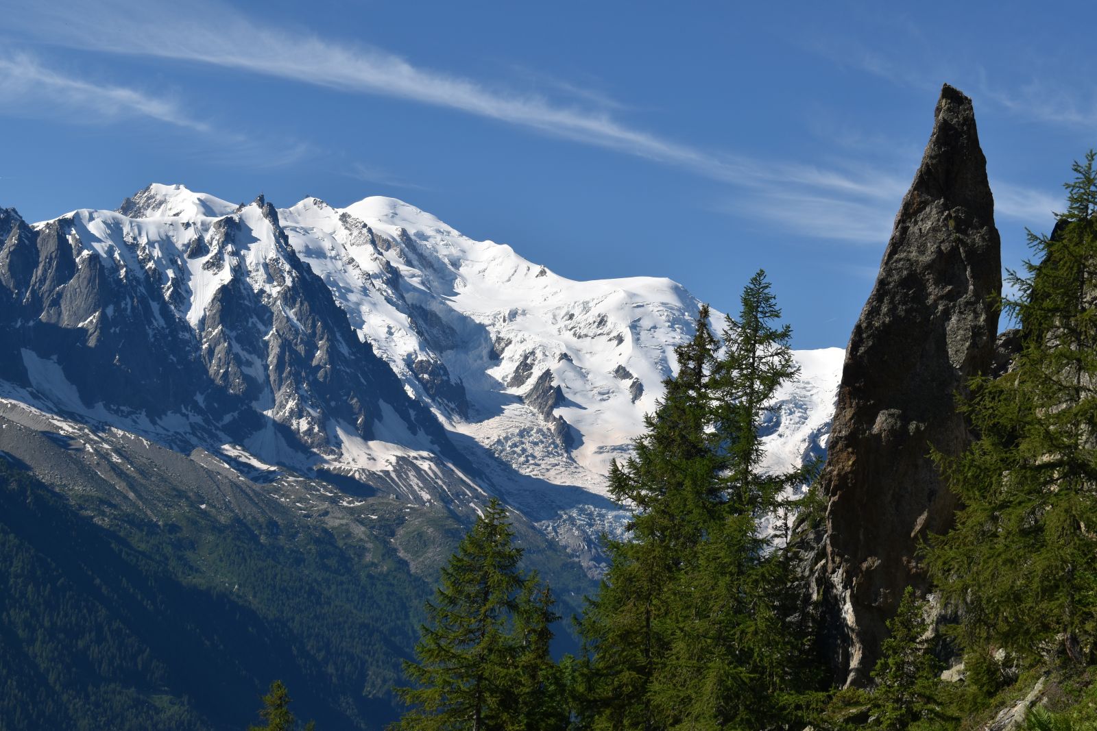 Green pines give way to a white snow-covered mountain under blue skies
